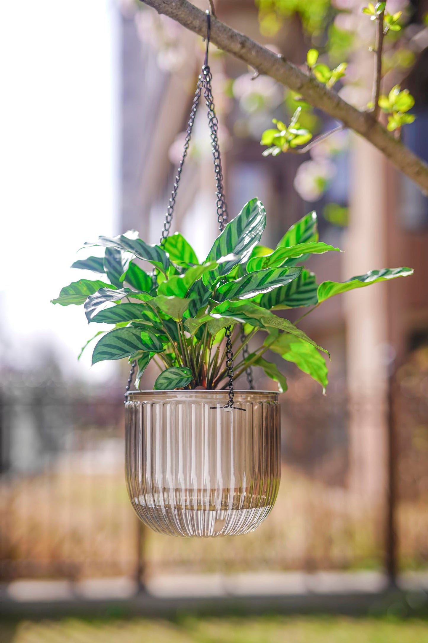Melphoe 2Pack 6.5'' & 1Pack 8.3'' Self Watering Hanging Planters