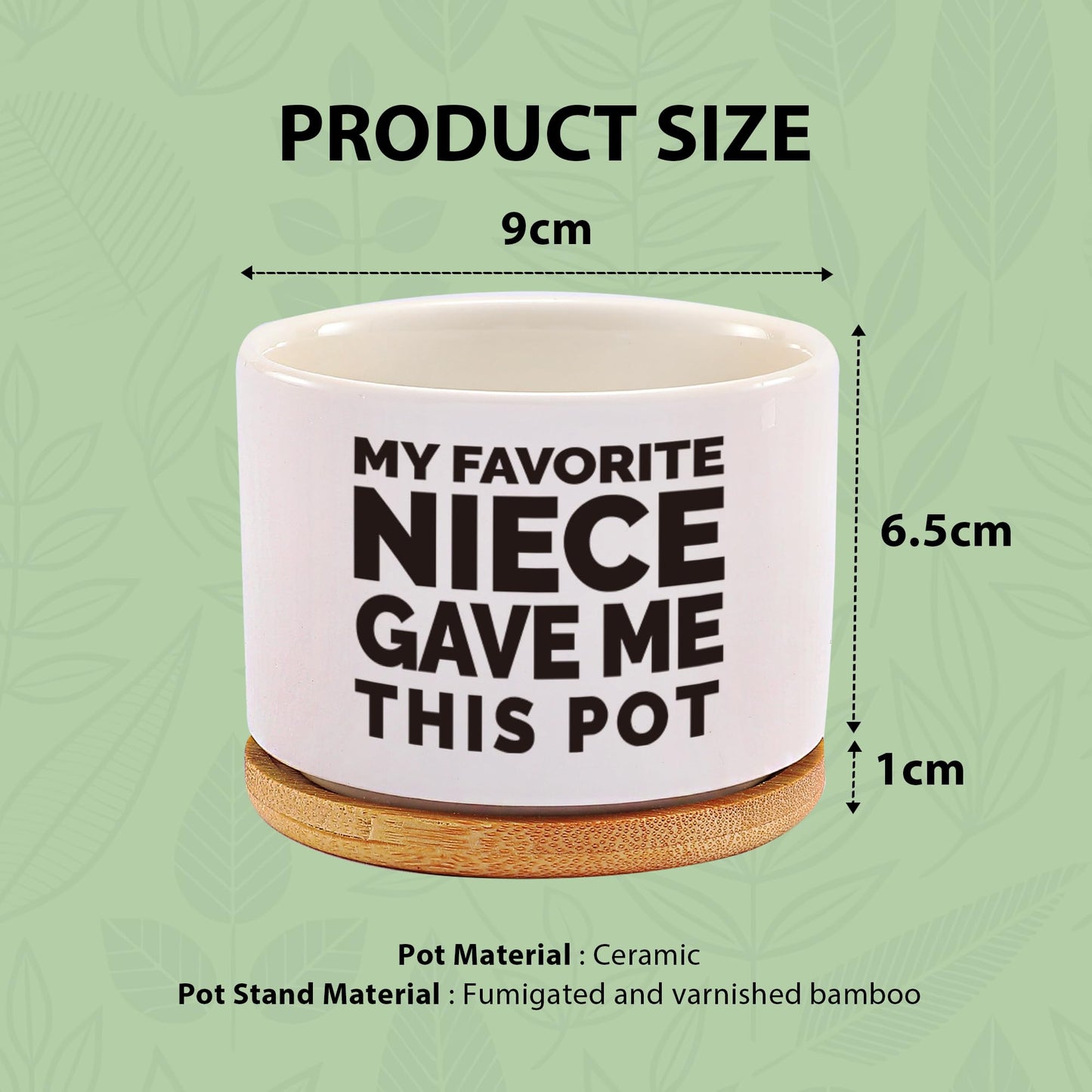 Loovelo My Favorite Niece Gave Me This Pot Succulent Plant Pot with Bamboo Tray Aunts Auntie Uncle Gifts Mother's Father's Day TIO Tia Home Office Decor Plant Lover 3.5 Inch White (No Plants)