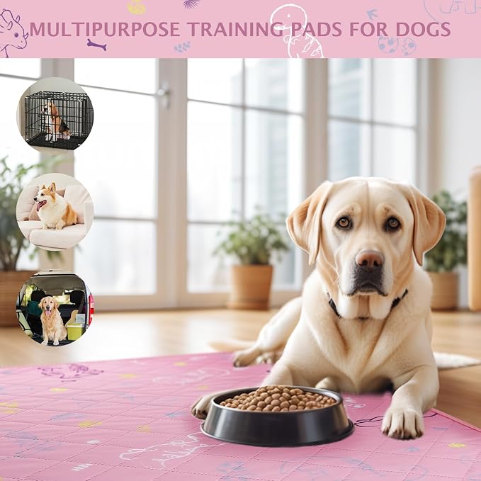 IEUUMLER Washable Pee Pads for Dogs, 2 Pack Non-Slip & Waterproof Pack Whelping Pad, Reusable Washable Puppy Potty Training Pad with Fast Absorbent for Playpen EU007 (Pink Dinosaur, 36"X48"-2pcs)