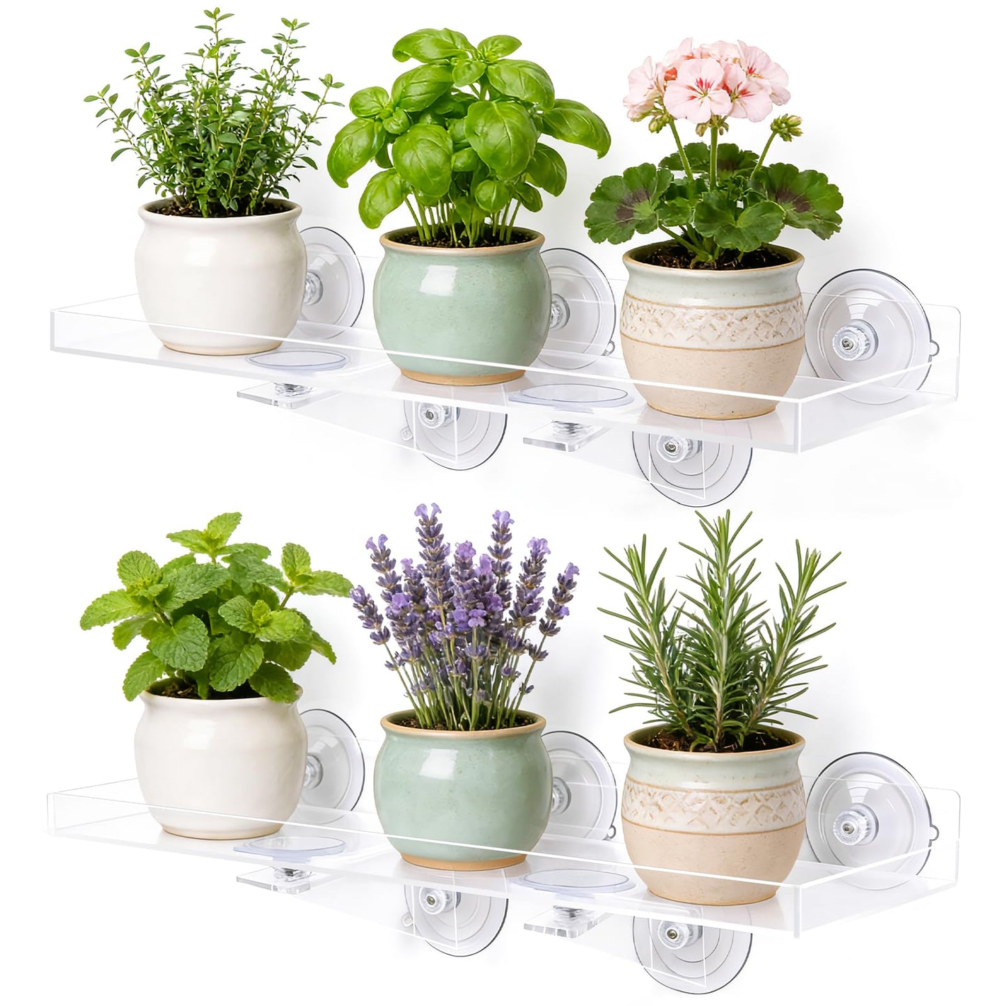 Leafory 2 Pack Window Plant Shelves, 15.7 x 5.9 Inch Heavy Duty Acrylic Floating Shelf, Strong Suction Cup Shelf with Support Bracket, Windowsill Holder for Succulents and Indoor Plants