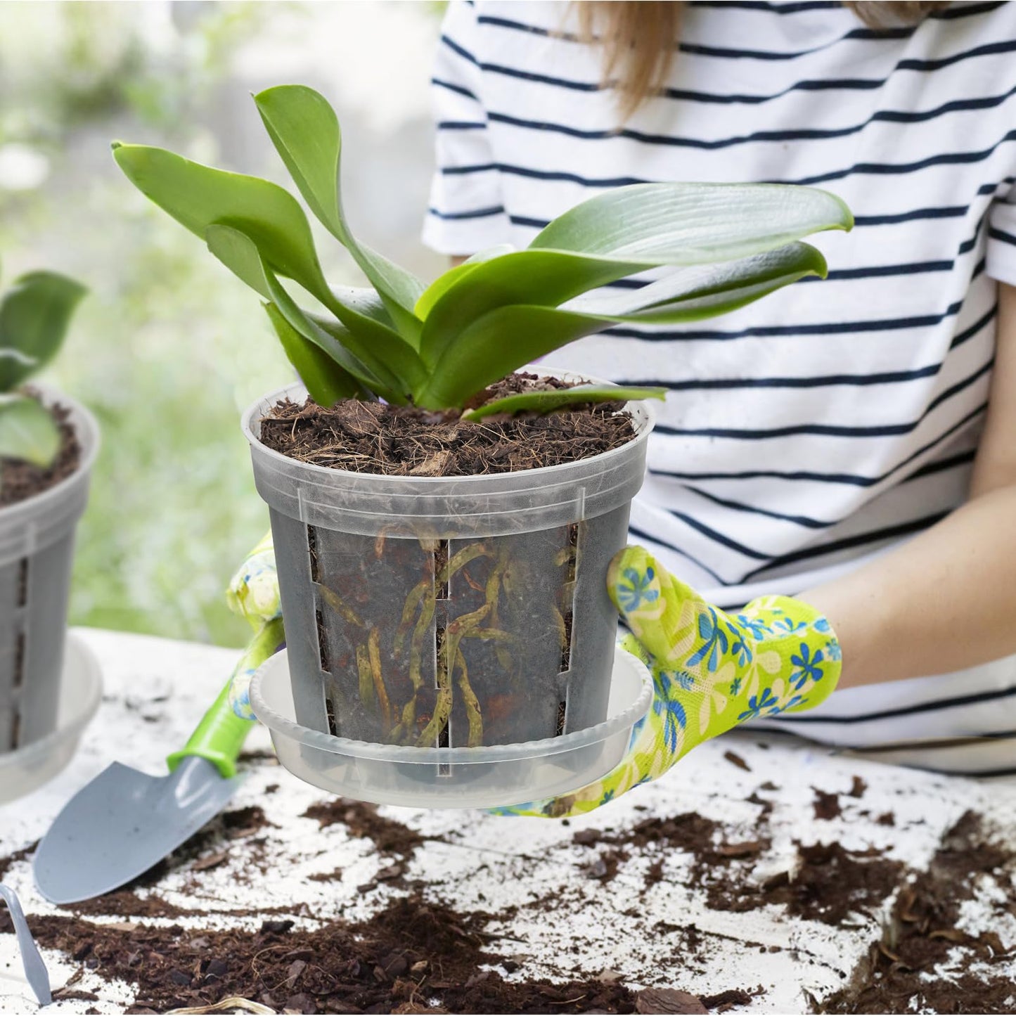 IWNTWY Orchid Pot, 10 Pack 6 Inch Clear Orchid Pots with Holes and Saucers for Repotting, Breathable Plastic Flowers Planters for Indoor Outdoor Spider Plant, African Violet