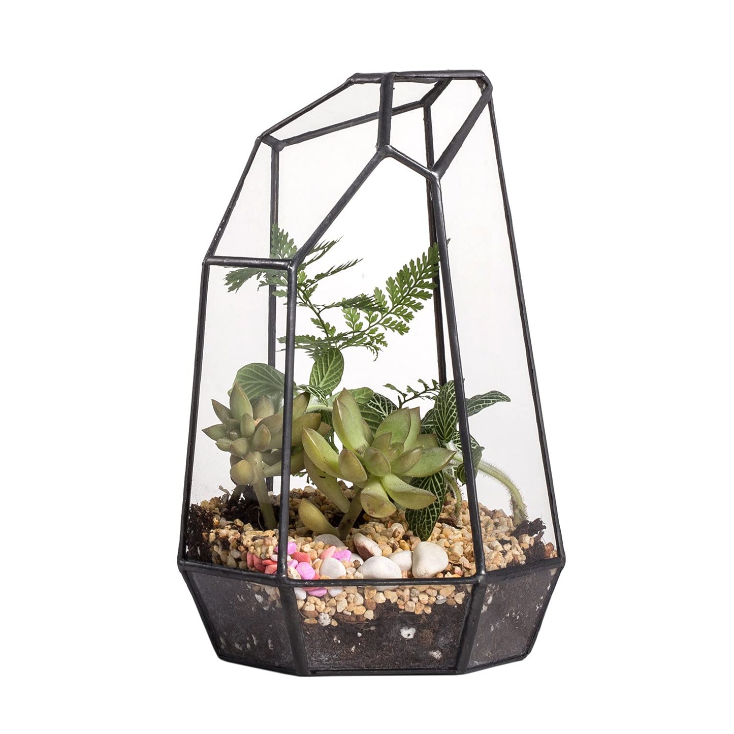 NCYP Small No Door Glass Geometric Terrarium - 4.9 x 3.9 x 7.4 Inches Irregular Clear Terrarium Pot for Mini Succulents, Small Cactus, Indoor Garden Tabletop Decoration (No Plants)
