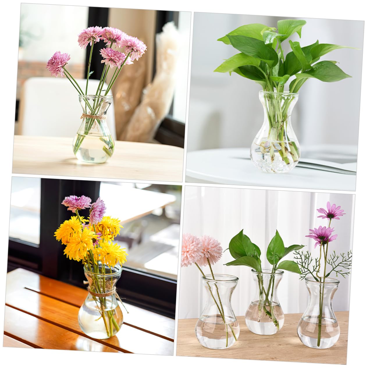 Hemobllo 5Pcs Desktop Glass Planter Decorative Vases for Home Office Unique Terrarium Design for Flower Arrangement Plant Display for Tabletop Shelf Decor