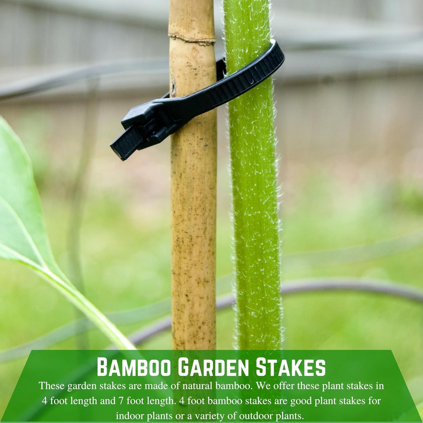Farm Plastic Supply - Bamboo Garden Stakes - Bambo Sticks, Bamboo Plant Stakes for Outdoor Plants, Plant Support Stakes for Indoor Plants (4 Foot, 75)