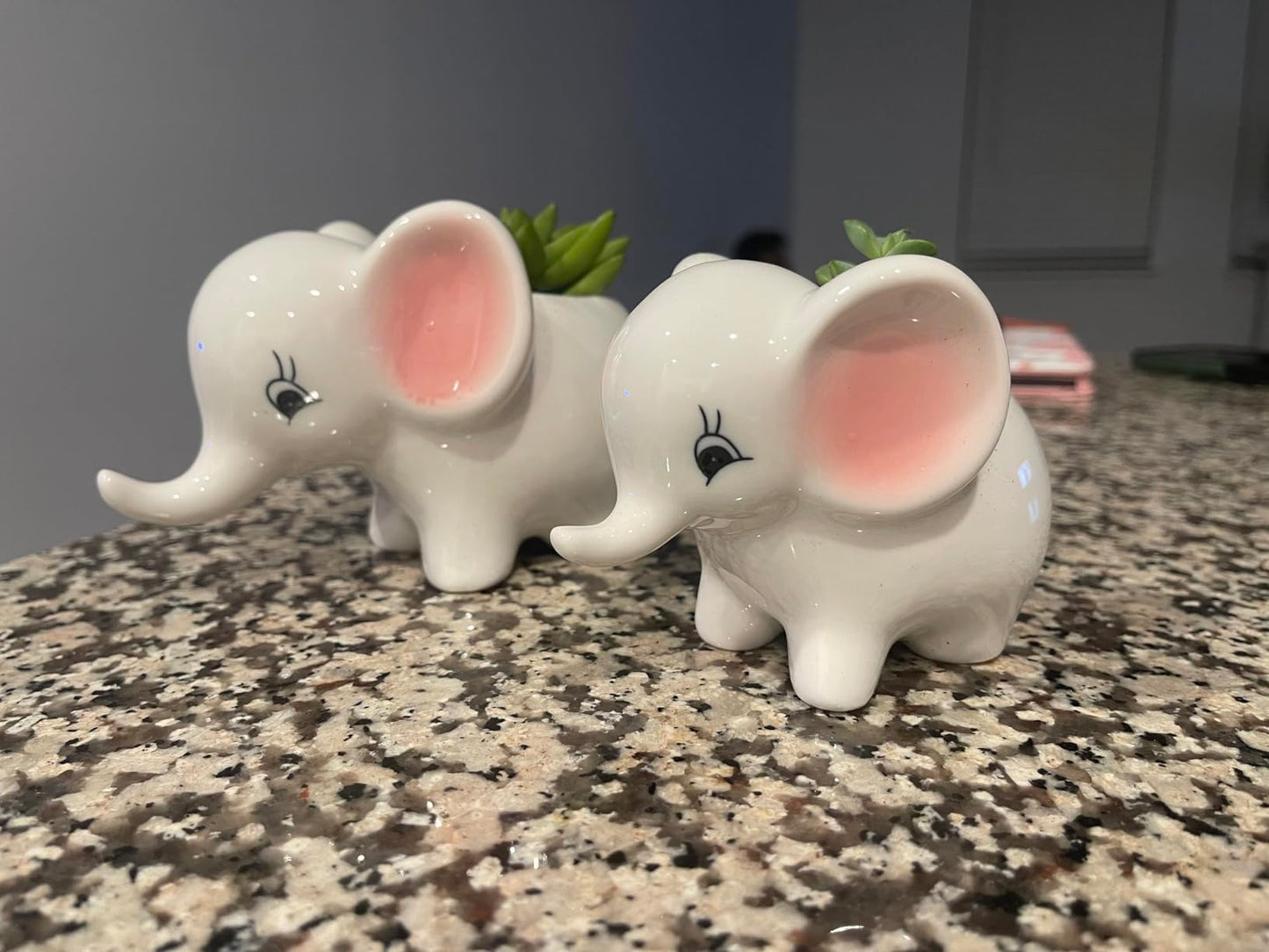 zmgmsmh Cute Elephant Succulent Elephants Home Decor Desk Garden, Animal Shaped Ceramic Succulent Pots with Drainage Hole, Planter Flower Pots(Elephant 2PCS)