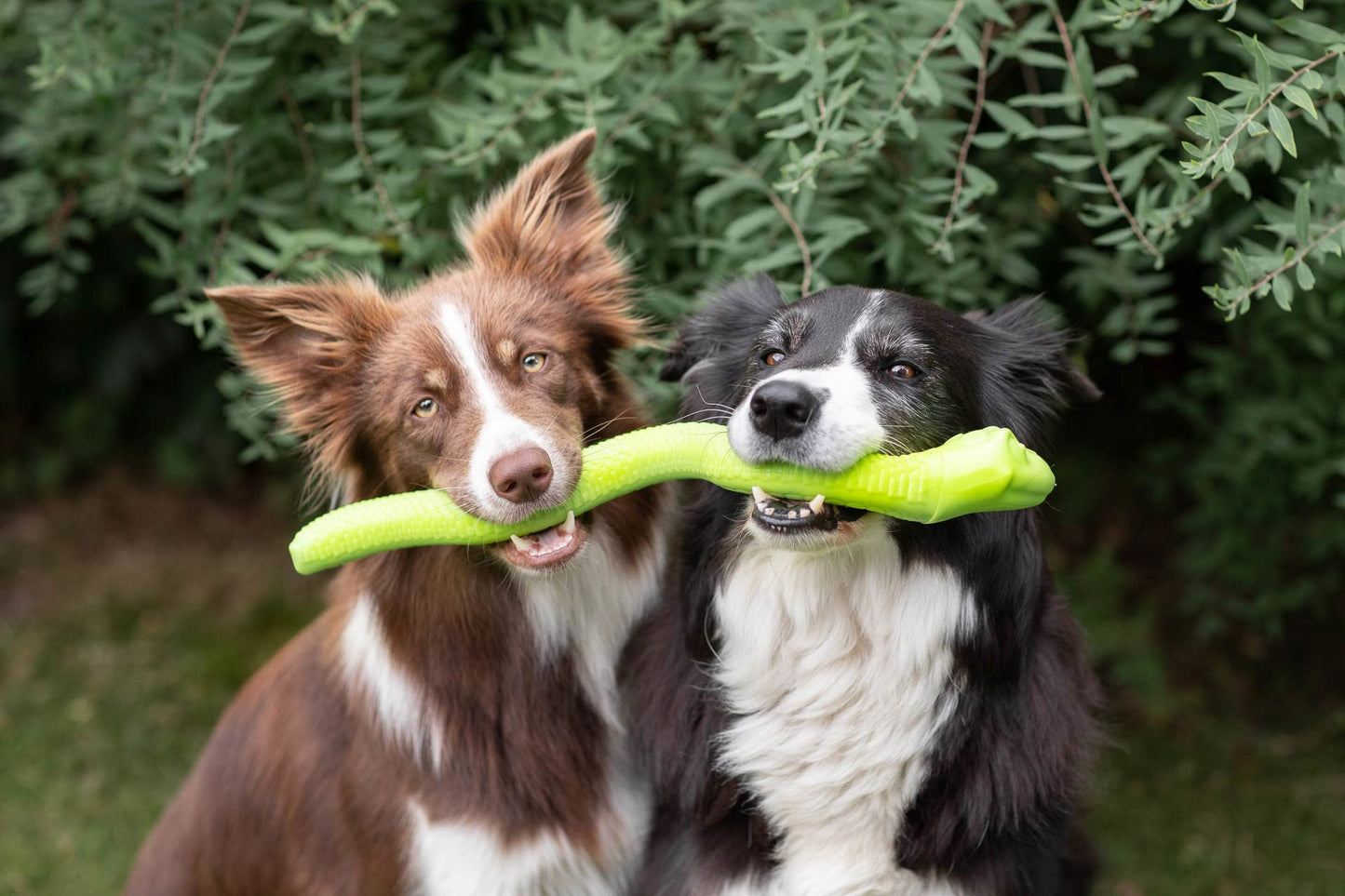 Trixie Snack Snake Dog Puzzle Toy for Dogs, Dog Enrichment Toy, Interactive Chew Toy, Treat Dispenser, 16.5" (42cm)