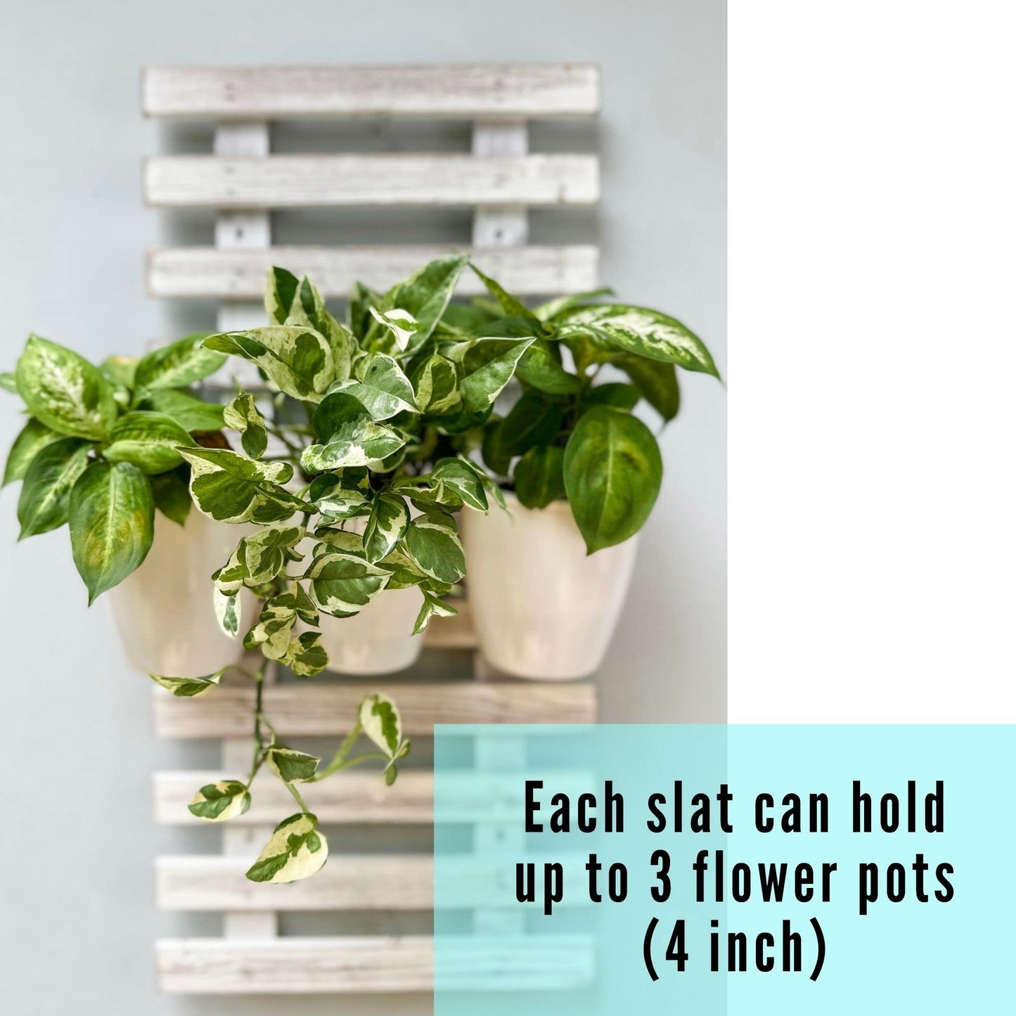 ShopLaLa Wooden Wall Planter - 2 Pack Wall Hanging Planters for Outdoor Plants Rustic White Wall Mounted Wood Ladder for Flower Pots Holder Vertical Herb Garden System Green Decor 23.6" (60cm)