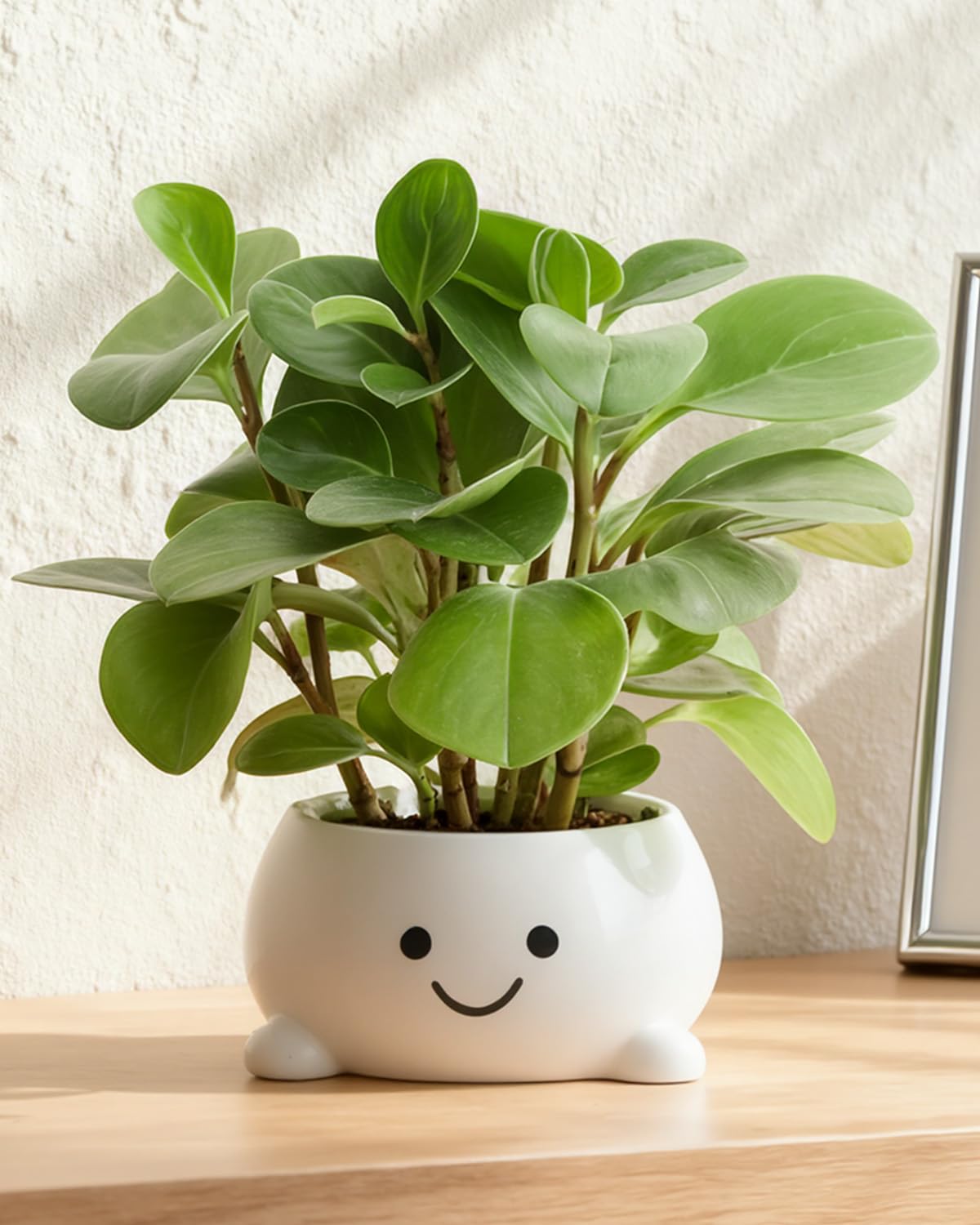 GaloTrek Smily Face Planter Pot Funny Toilet Plant Pots Cute Ceramic Flower Head Planters Succulent Pots for Indoor Outdoor Plants Unique Bathroom Planter with Drainage Hole