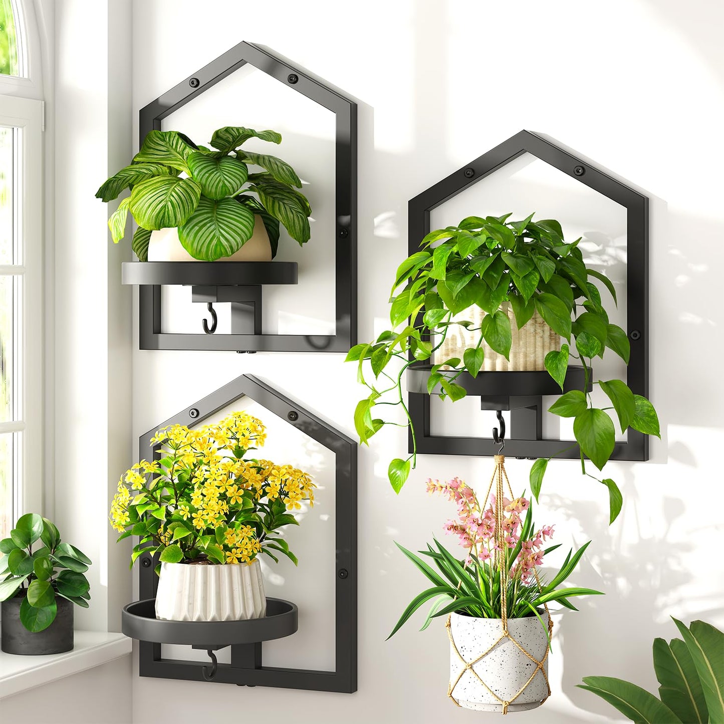 LASZOLA 3 Pcs Black Wall Mount Plant Shelves with Hangers for Indoor Flower, Heavy Duty Metal Window Floating Planter Holders Stand, Iron Modern Picture Frame Decorative for Bathroom Kitchen with Hook