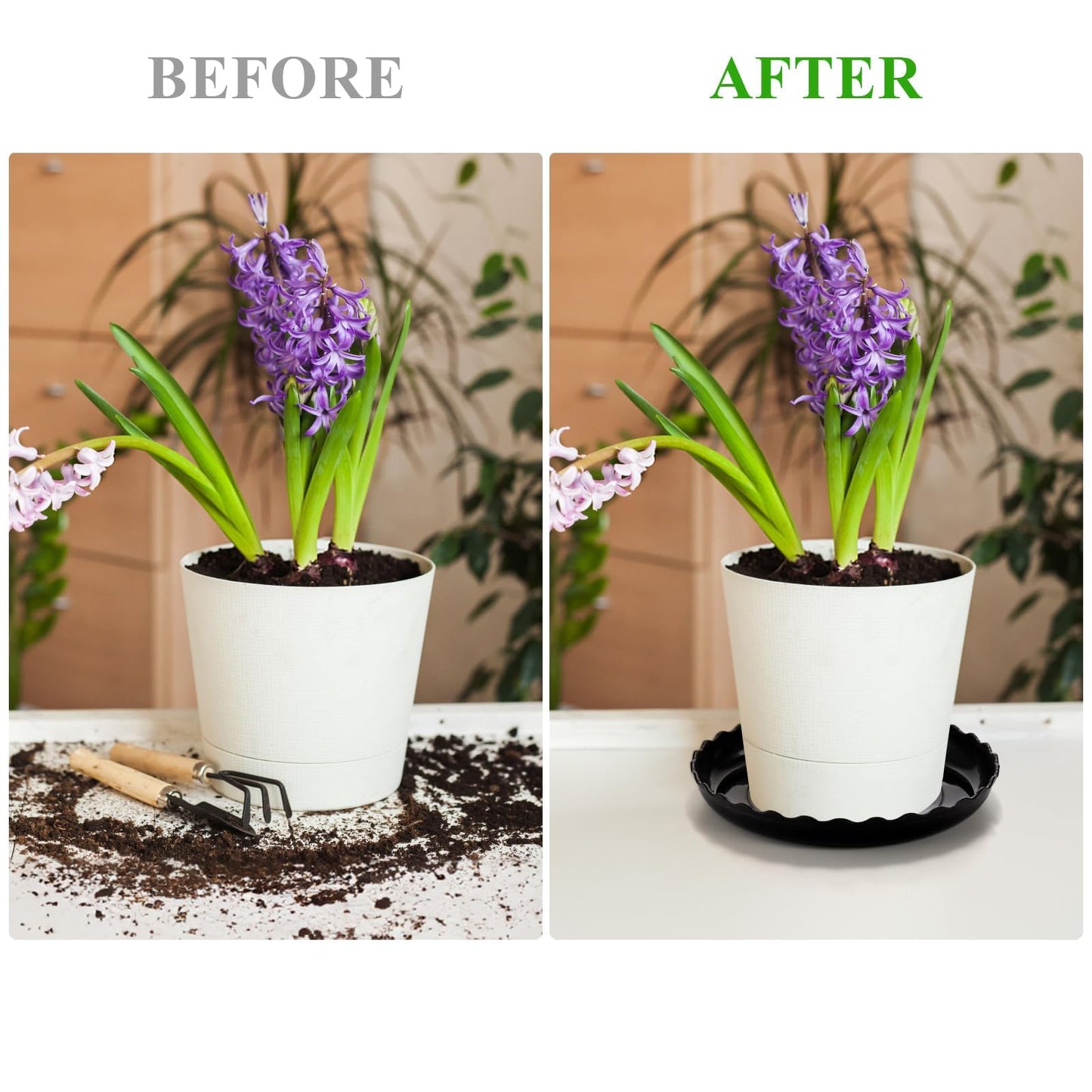 OFiSEXPT 15 Pcs Plant Saucer Set, 6, 8, 10 Inch Plastic Pot Trays, Flower Planter Saucers, Drip Trays for Indoor/Outdoor, Sturdy Plant Plate Water Catcher (Black)