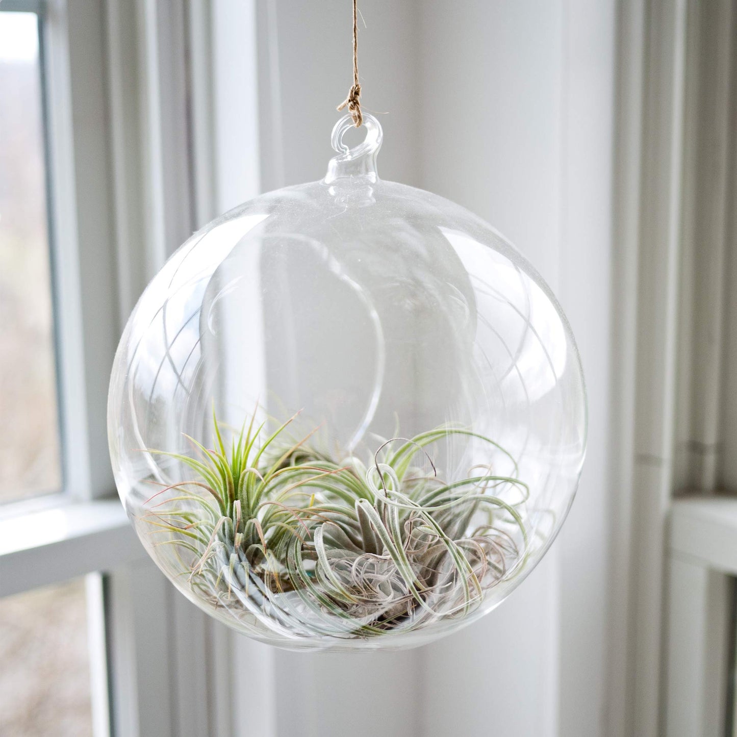 WGVI WGV Hanging Terrarium Globe, Width 8", Height 9", DIY Air Succulent Planter, Clear Glass Vase Orb with Flat Bottom, Candle Holder for Windowsill Outdoor Garden Decor, 1 Piece