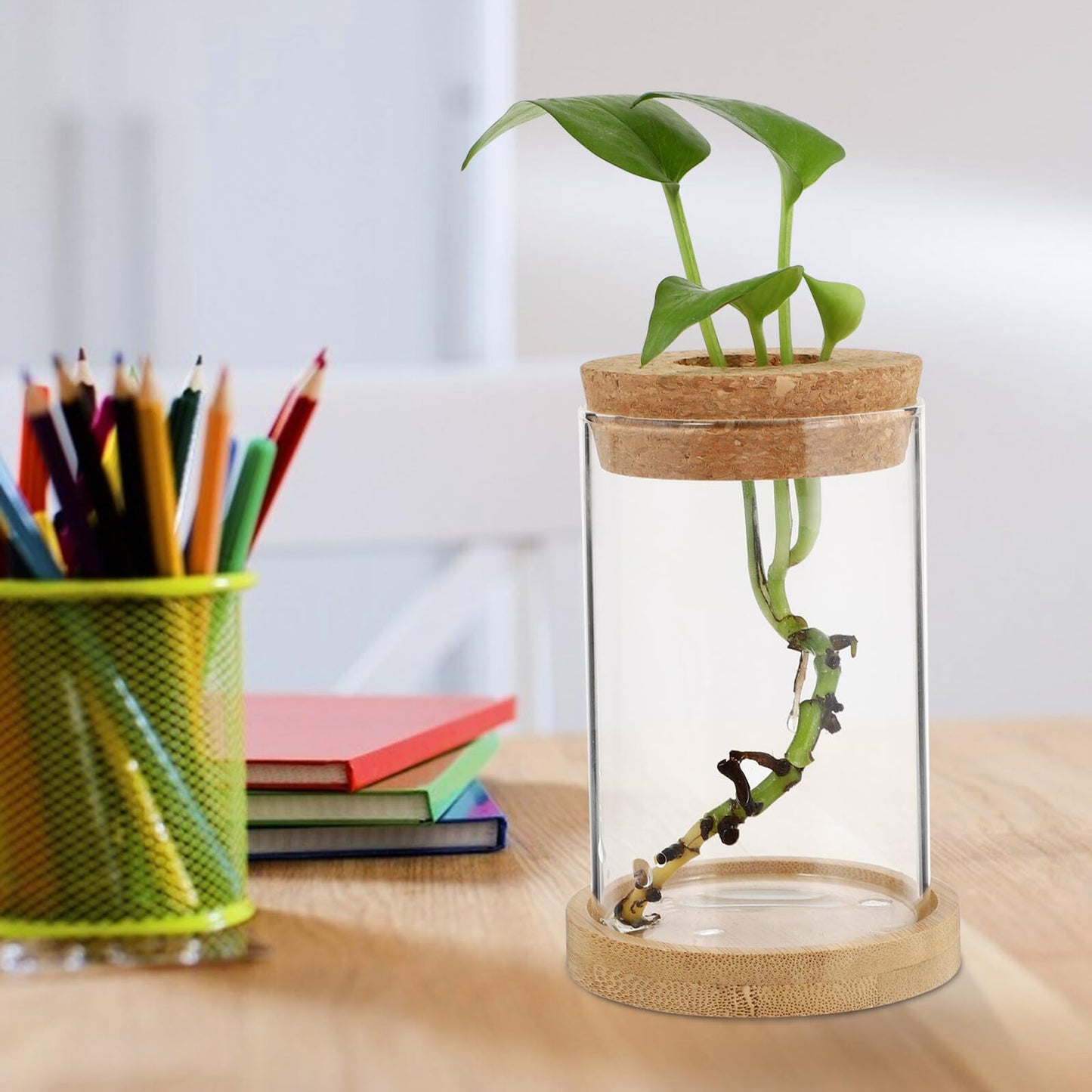 Ipetboom 2pcs Hydroponic Plant Terrarium Glass Vases with Stand, 6.5x10cm Desktop Glass Containers for Home Office Garden Decoration