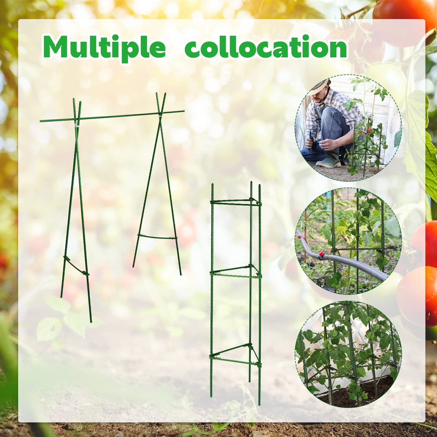 10 Packs Tomato Cages for Garden Support Up to 48" Tomato Plant Stakes Support with Adjustable Snap Arms Clips Plastic Coated Alloy for Outdoor Beans Potted Climbing Plant Supplies(Green)