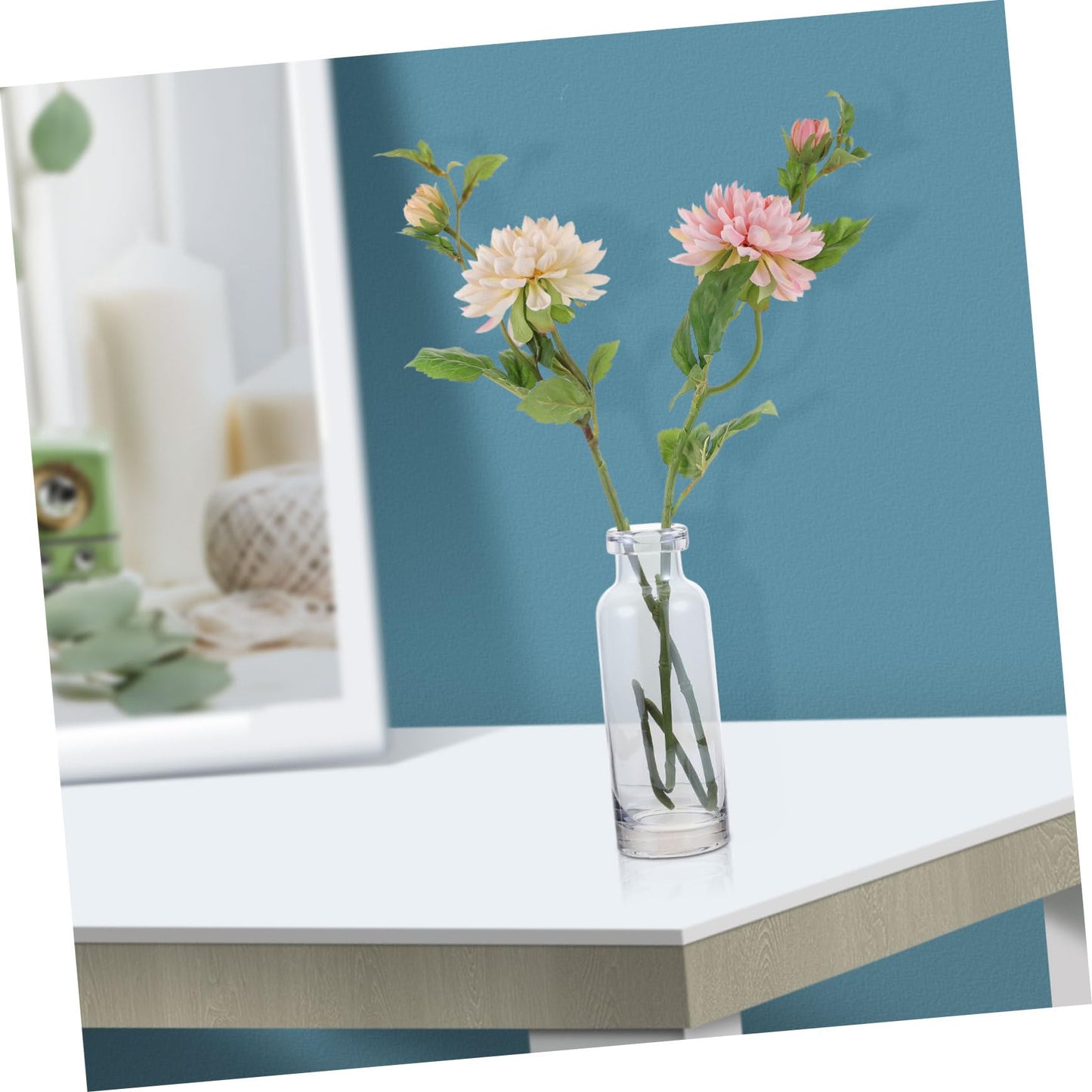 ABOOFAN Glass Vase for Hydroponics Plants Small Mouth Desktop Planter Terrarium for Home Decoration Smooth Transparent Floral Arrangement Container Gift Ready Decorative Propagation