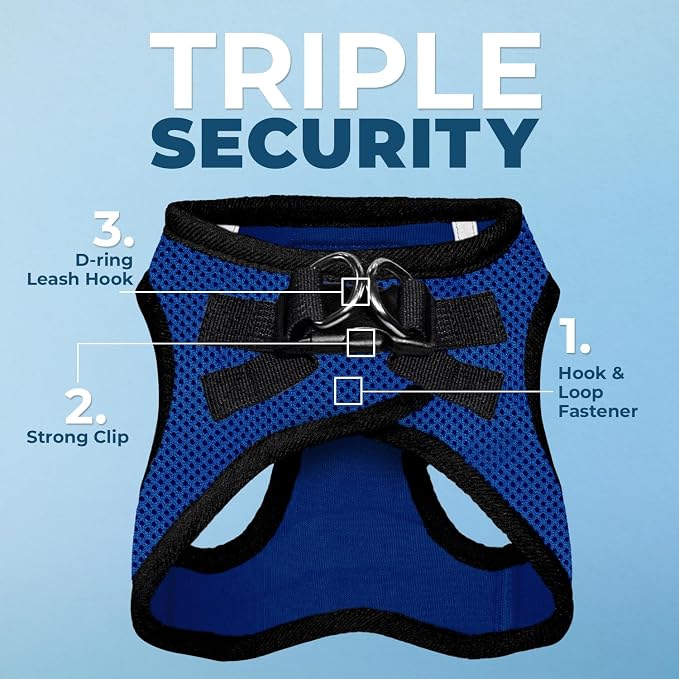 Best Pet Supplies Voyager Step-in Air All Weather Mesh Harness and Reflective Dog 5ft Leash Combo with Neoprene Handle, for Small, Medium and Large Breed Puppies - Royal Blue/Black Trim, Medium