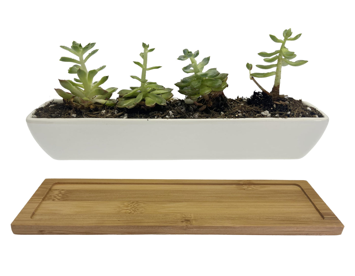 WISH HALLY WOOD White Ceramic Succulent Planter Pots,2 Set of 11inch Long Rectangle Flower Plant Containers with Bamboo Saucers.