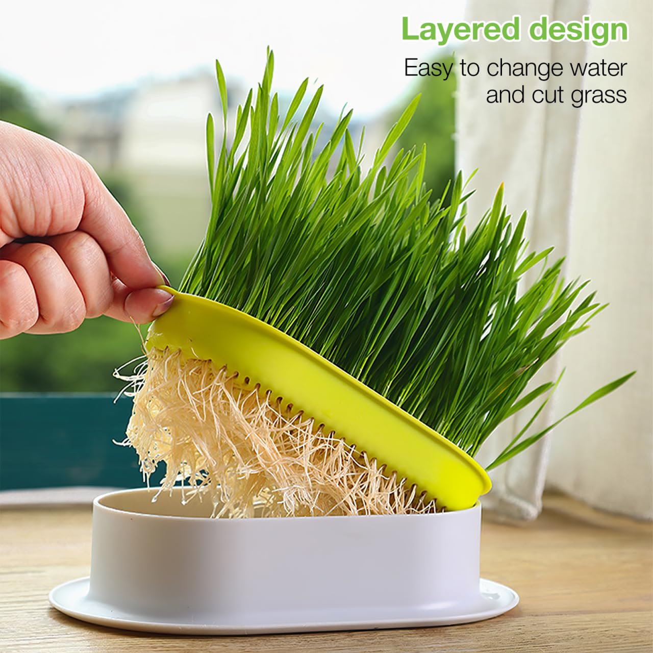 YARNOW Cat Grass Planter Set Hydroponic Indoor Soil-Free Growing Box with Large Water Tray 7.44X4.84X1.77 Inch Compact Nursery Kit for Household Cats
