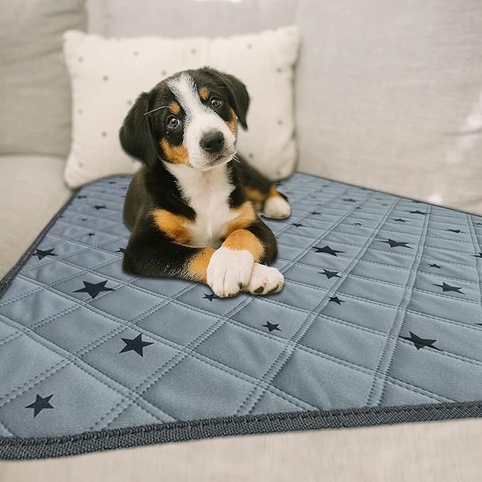 RIOUSSI Washable Pee Pads for Dogs, Reusable, Absorbent, Leakproof, Non Slip Pet Puppy Pads for Potty Training. Gray Stars, 48x65 Inch(1pack)