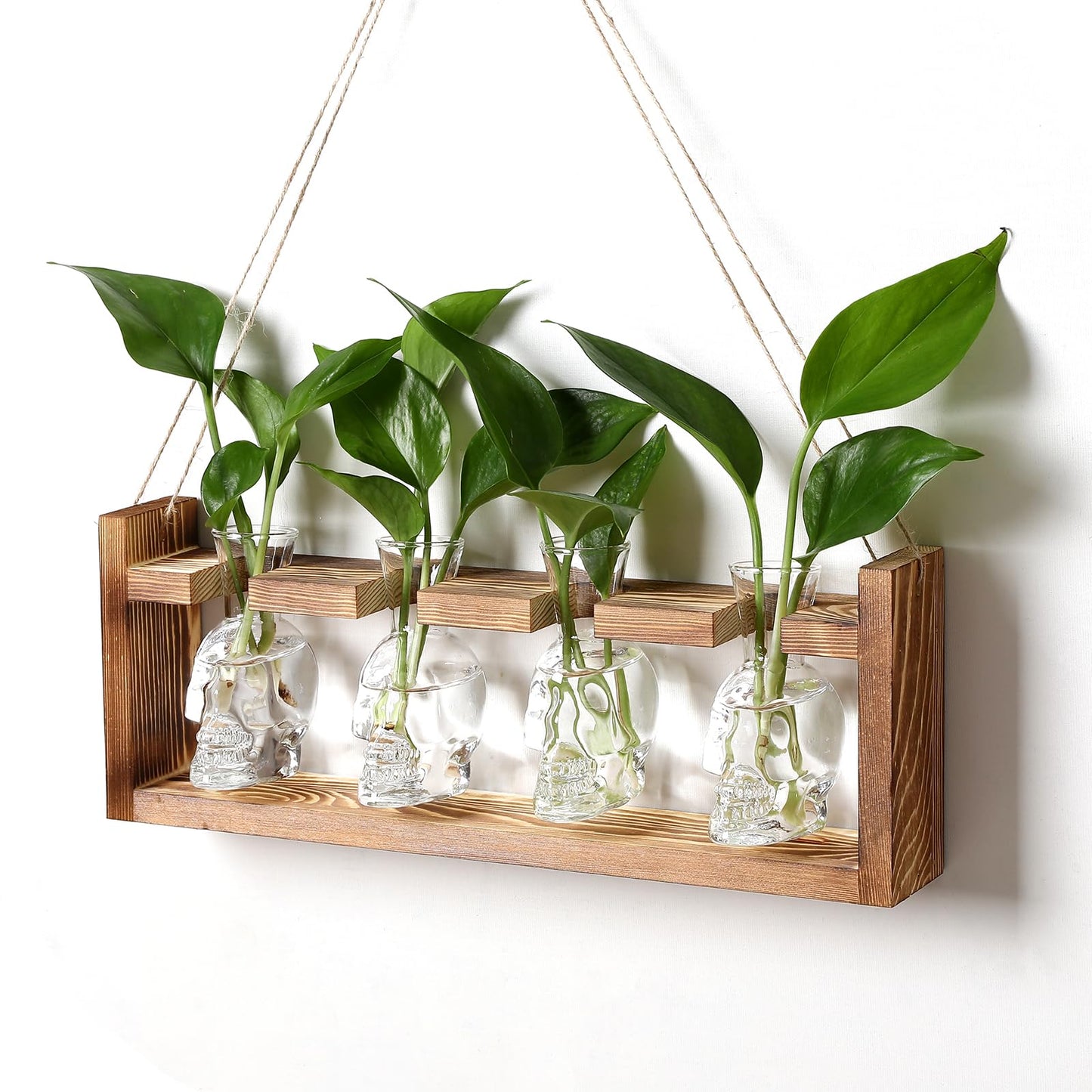 CYZglass Plant Propagation Stations Halloween Skull Plant Terrarium Kit Glass Vases Gift for Father Air Planter Home Office Decor