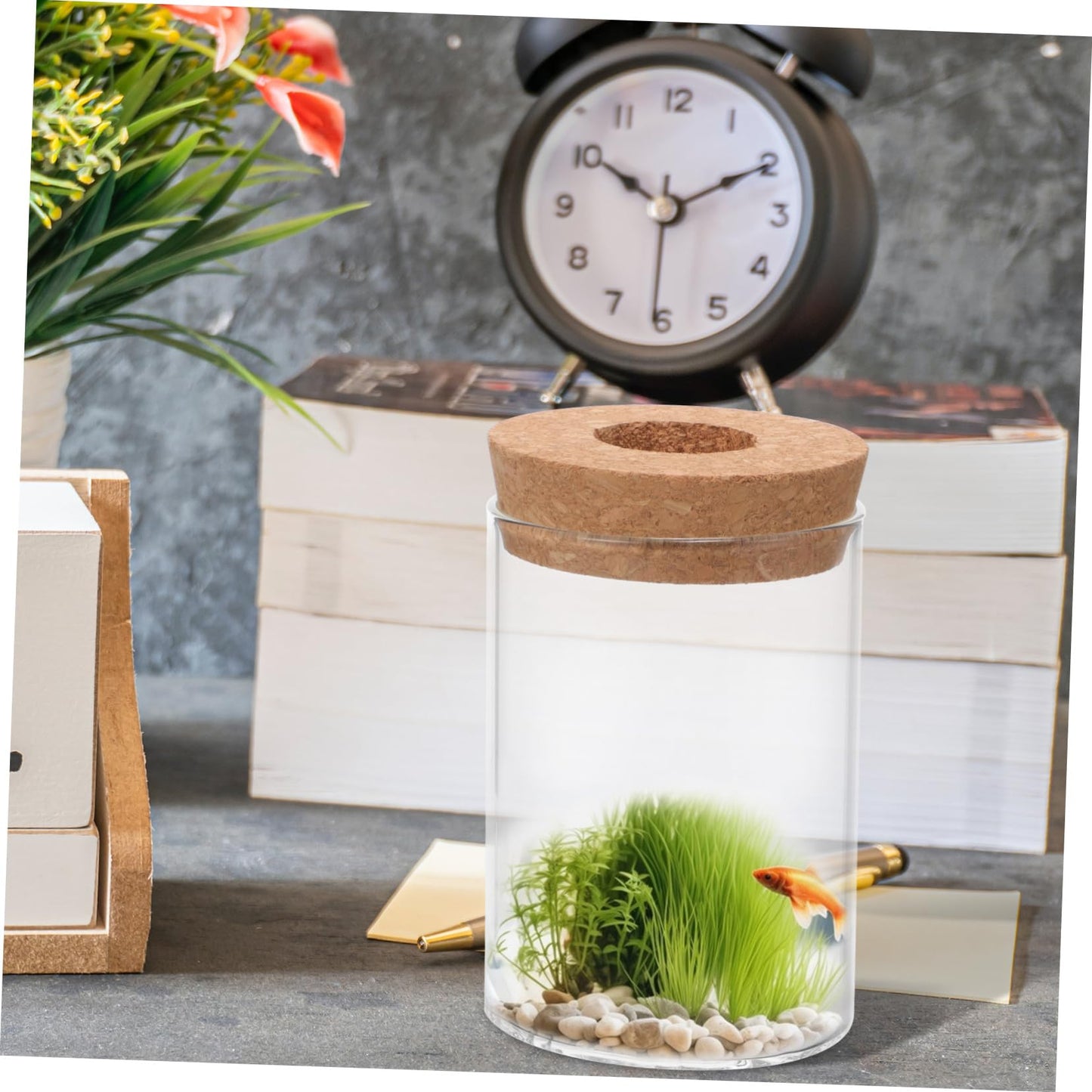 MAGICLULU Plant Pots Succulents Terrarium Glass Holder Flower Arrangement Vase Decor Office Flower Pot