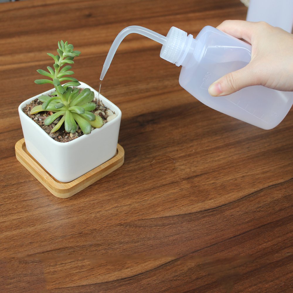 Belinlen 250ml+500ml Plastic Safety Wash Bottle, Plastic Squeeze Bottle Narrow Mouth, 8 Pack (Each Size 4)