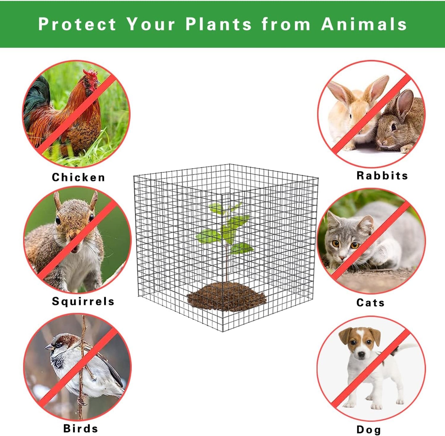 6 Pack Small Wire Plant Protectors, 24 Pieces Square Plant Protectors from Animals Mesh Plant Cage Chicken Wire Cover for Protect Plants, Garden,Shrubs and Vegetables from Animals(12x12 in)