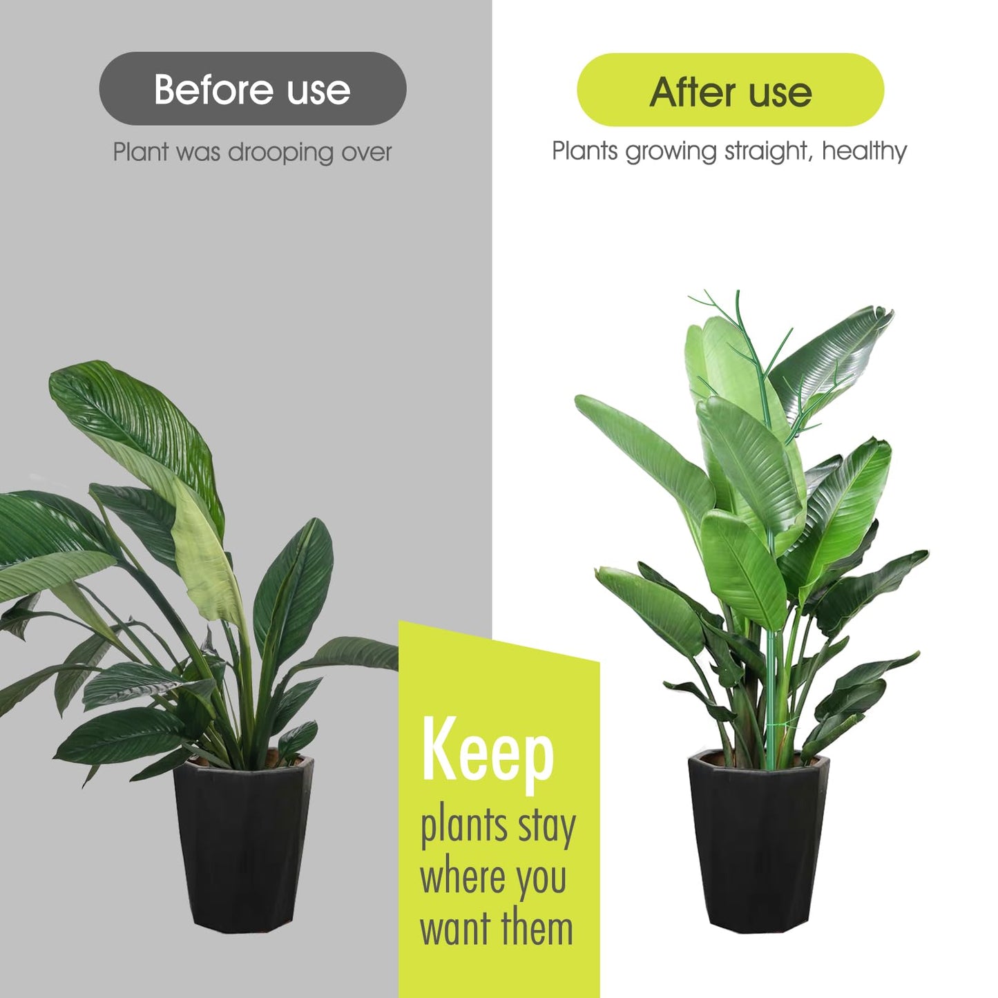 6 Pack Plant Support Stakes for Indoor Plants, 39.37 Inch Tall Twig Plant Sticks with Orchid Clips Twist Ties and Plant Ties for House Potted Monstera Plants Support, Green