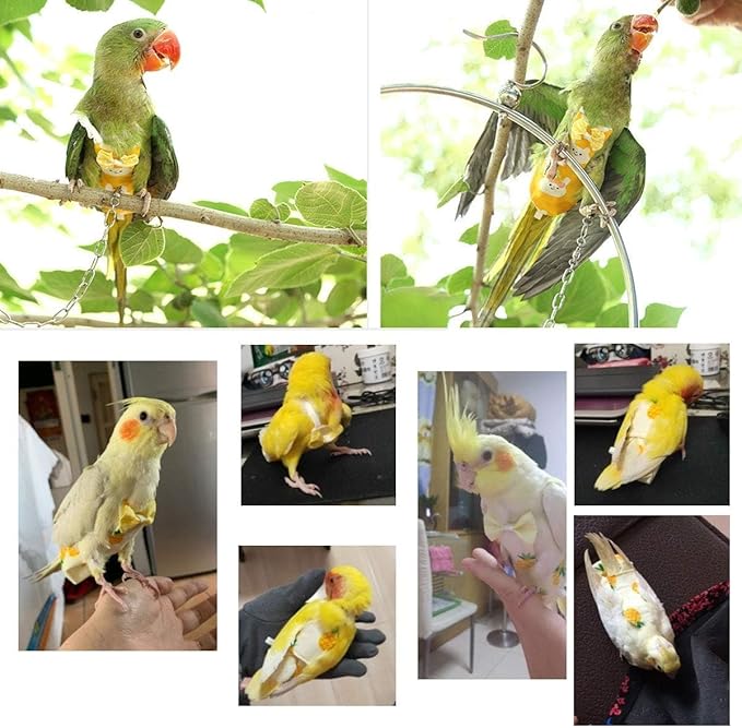 Diaper Flight Suite Liners for Birds Protective Nappy with Waterproof Inner Layer Cute Urine Wet Suit for Parrot Macaw African Budgies Conure Monk Parakeet (L,Yellow)