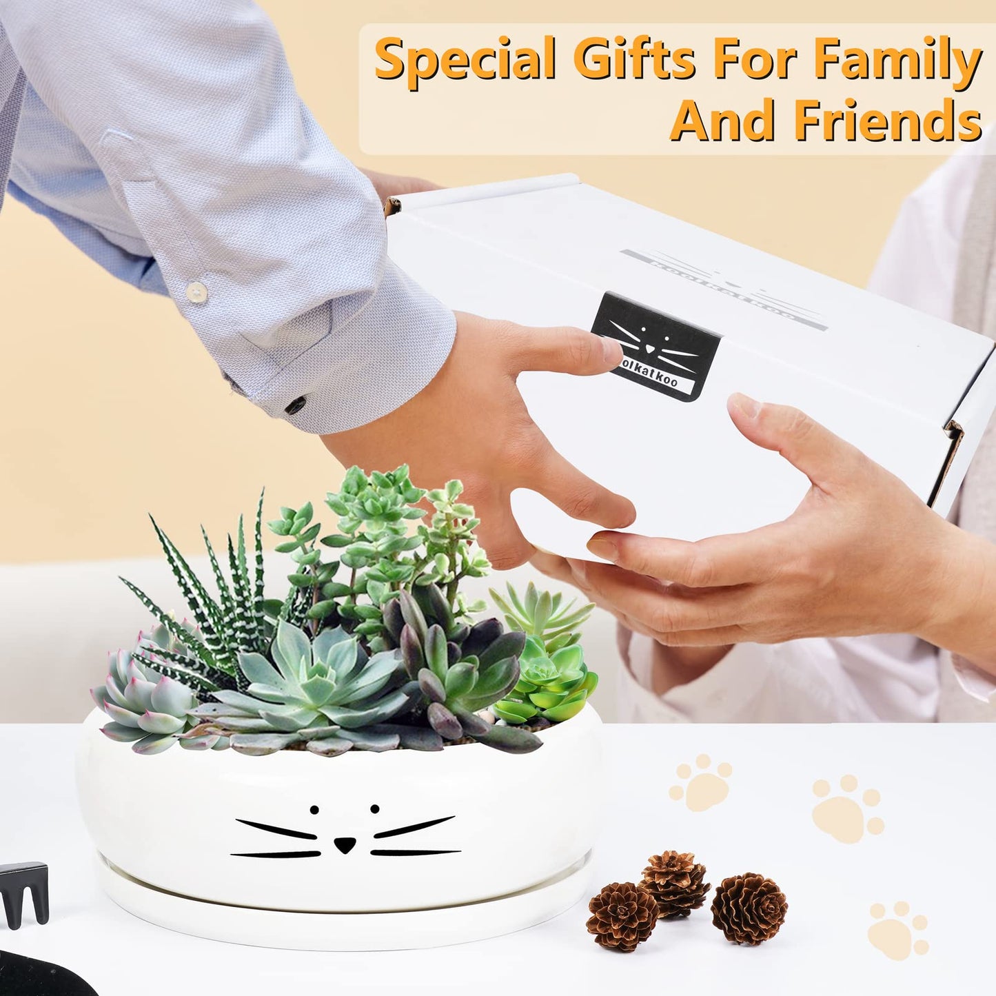 Koolkatkoo 8 Inch Cat Ceramic Succulent Planter Pot with Drainage Hole and Tray Flower Pot for Indoor and Outdoor Plants Round Shallow Planter Gifts for Cat Lovers
