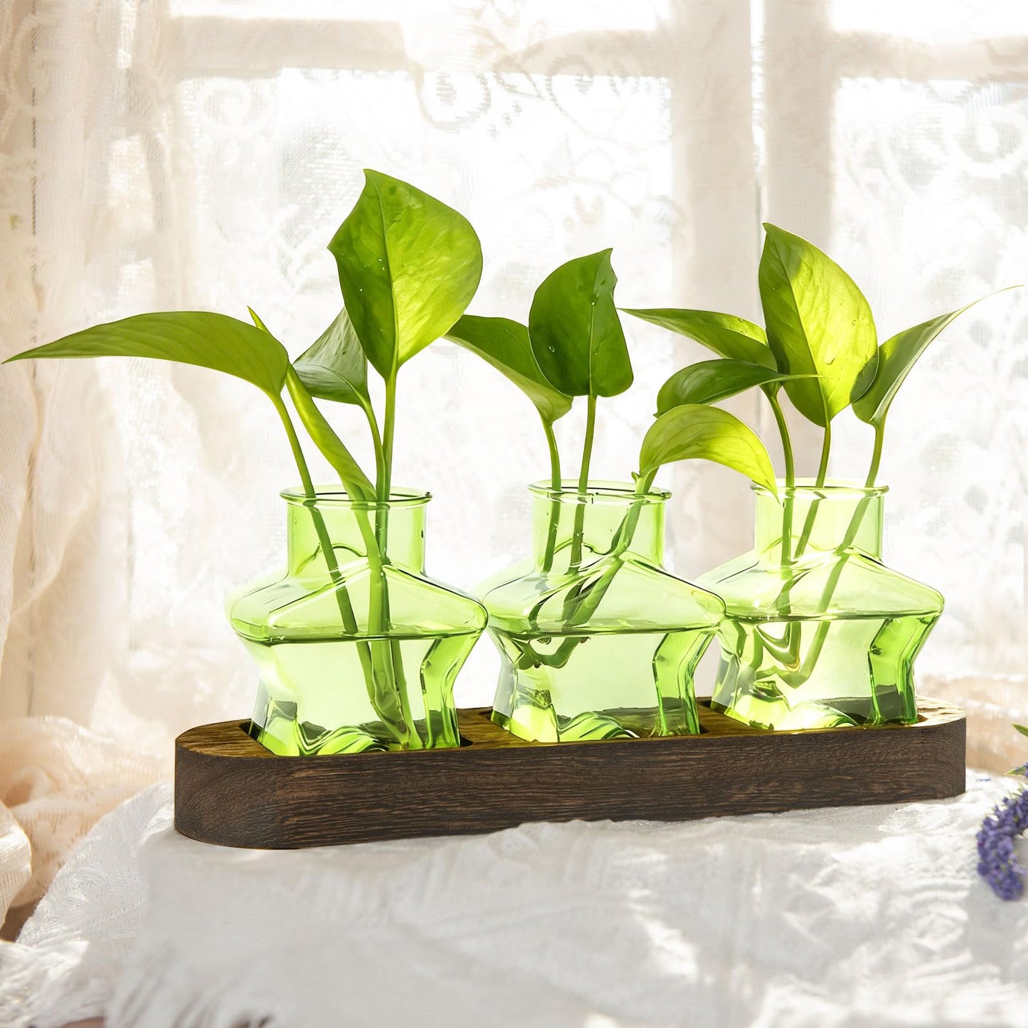 XXXFLOWER Plant Propagation Station with Wooden Stand，Air Plant Terrarium Starter Kits Star Vases for Flowers Plant Cutting Rooting Pots Indoor Hydroponic Glass Planter for Plant Lovers,3 Jars(Green)