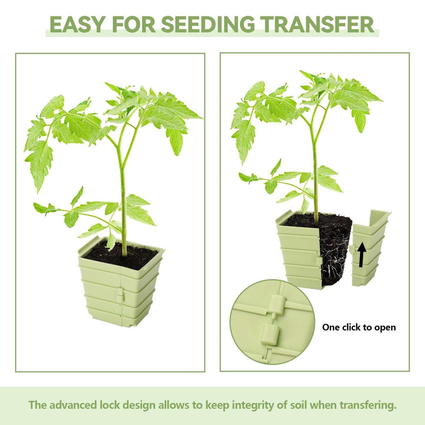 GREENBAZZAR Side-Open Seed Starter Tray 4-Pack, 24 Cells Modular Design with Detachable Plant Cells, Extra-Large 2.36"x2.28" Cells, Reusable Seed Germination Kit for Indoor & Outdoor Gardening