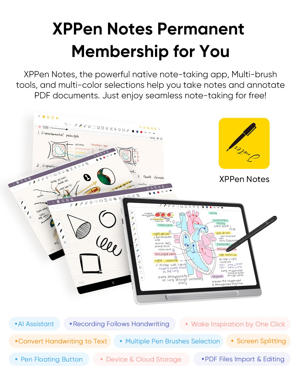 XPPen 10.95" Standalone Drawing Tablet Digital Color Notetaking Magic Note Pad for Sketching, Drawing & Notes 16K Pressure Sensitivity Tilt Support 90Hz Refresh Rate Anti-Glare Screen Android 14