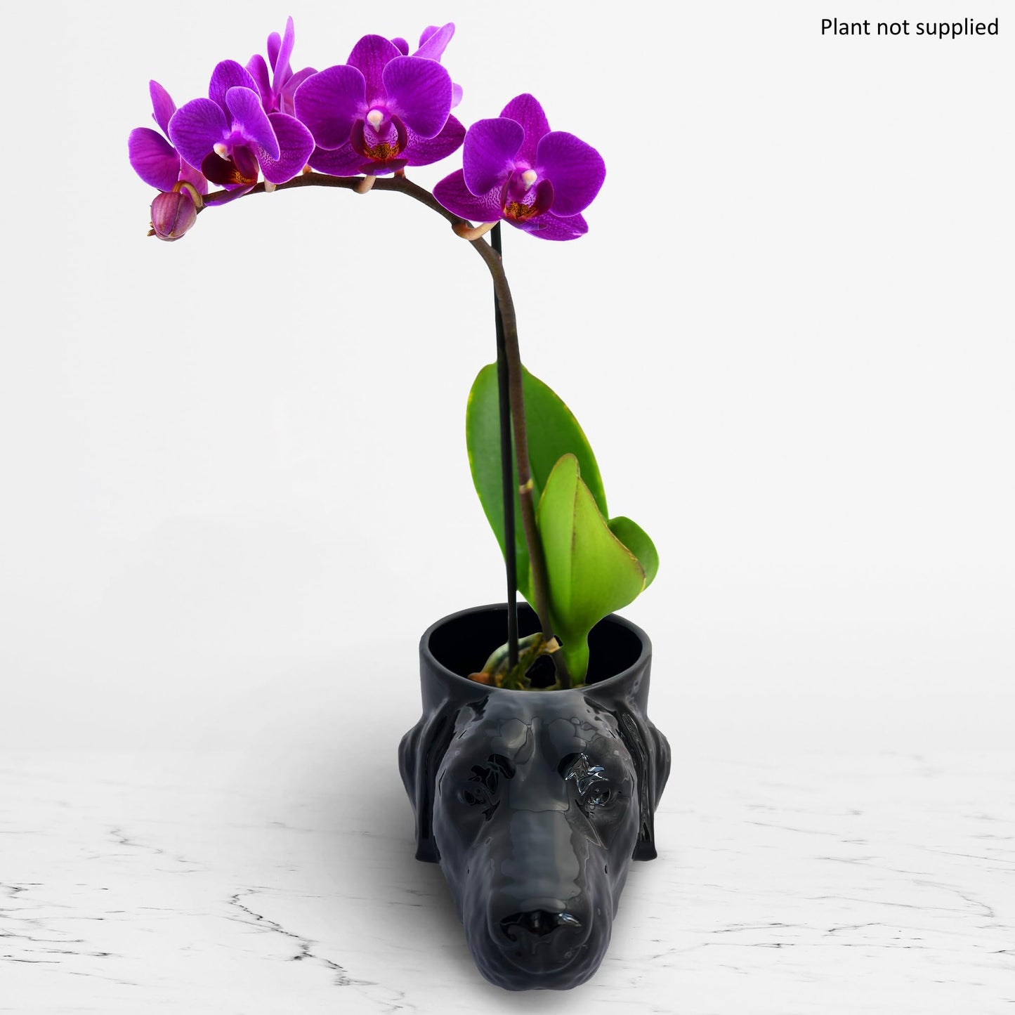 Novelty Labrador Retriever Dog Head Planter w/Drainage, Yellow, Black, Chocolate Lab Mom Dad Gift, Ceramic Pot (Black)
