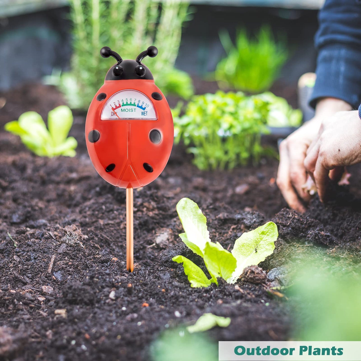 Tennedriv Green 2 Pack Soil Moisture Meter for House Plants, Plant Water Meter,Plant Moisture Meter for House Plants and Outdoor Plants, No Batteries Required