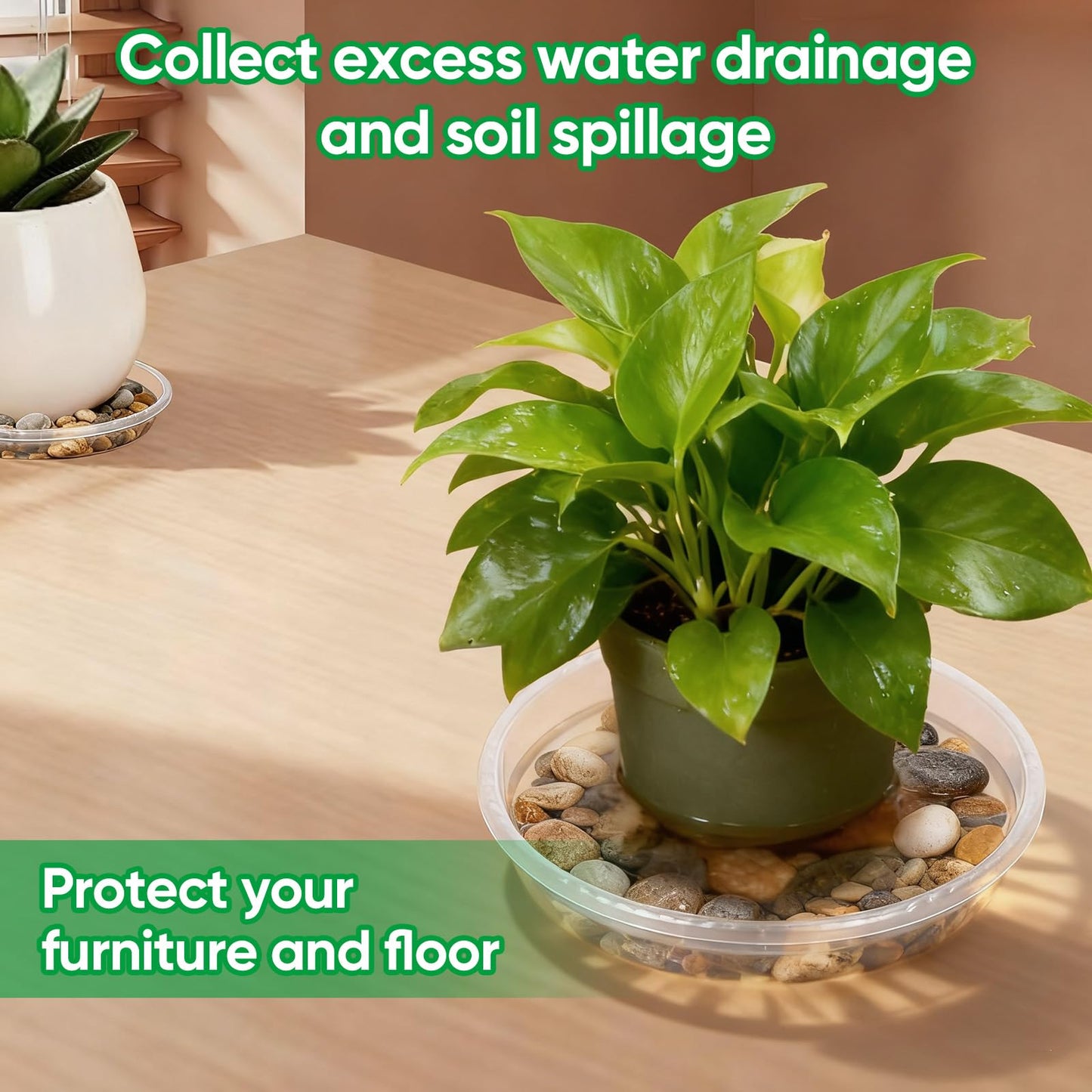 Dovesail 20 Pack Plant Saucer Tray, 6/8 /10/12 inch Heavy Duty Flower Pot Trays, Plastic Plant Saucer for Indoor & Outdoor Plants, Plant Trays to Catch Water, 5 Pieces of Each Size