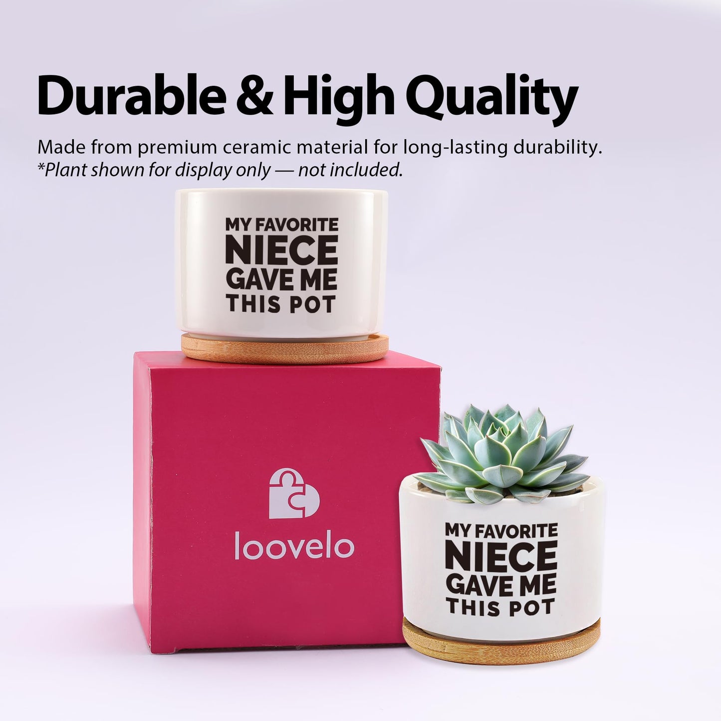 Loovelo My Favorite Niece Gave Me This Pot Succulent Plant Pot with Bamboo Tray Aunts Auntie Uncle Gifts Mother's Father's Day TIO Tia Home Office Decor Plant Lover 3.5 Inch White (No Plants)