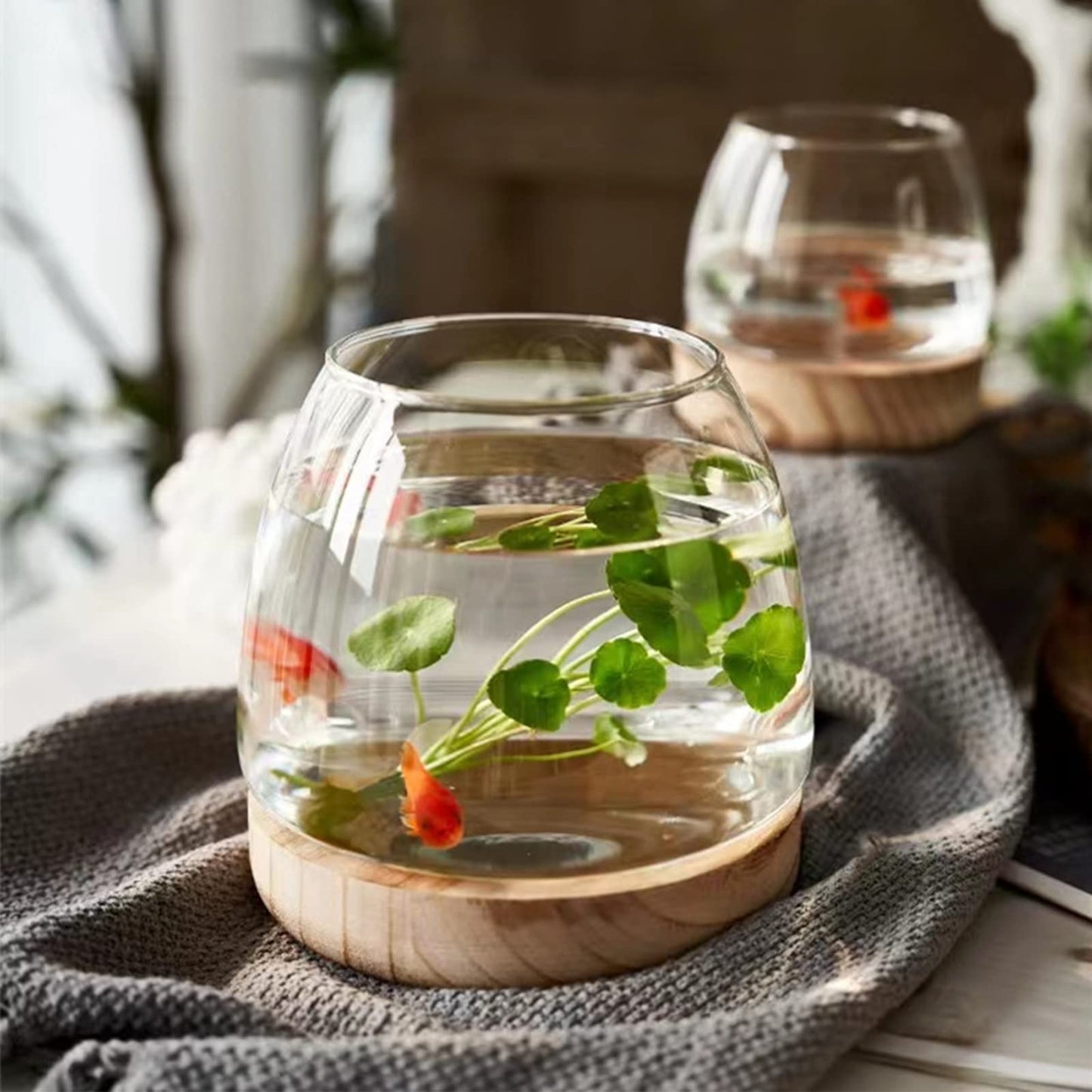Asodomo Clear Glass Vase Fish Bowl Hydroponic Plant Vase with Wood Base Desktop Planter Terrarium Vases for Table Centerpiece Bedroom Living Room Home Office Decor (XL)