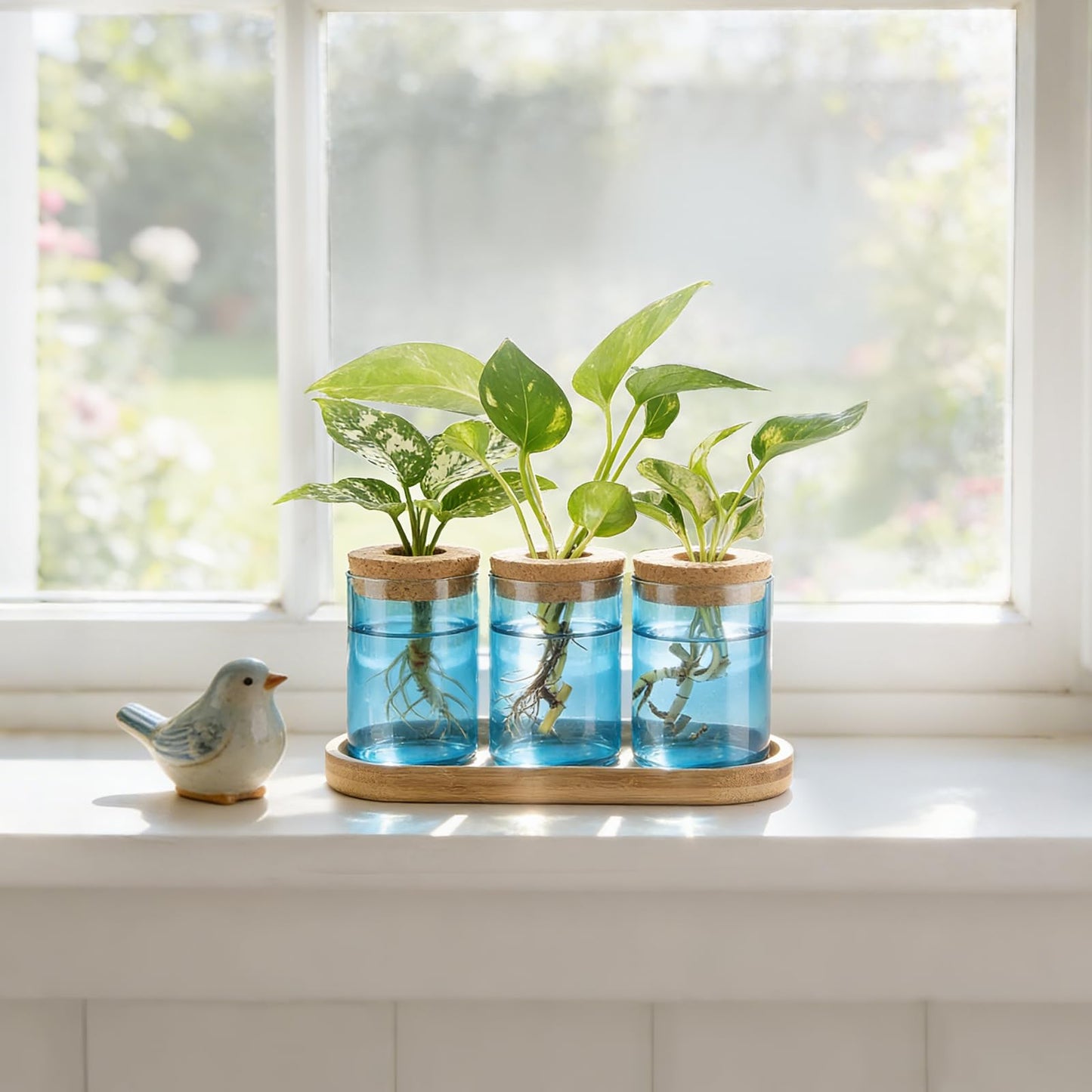Dahey Blue Plant Propagation Terrarium Desktop Glass Planter Station Water Planting Glass Vase with Lid and Wooden Stand for Propagating Hydroponic Plants Centerpiece Office Home Garden Decor, 3 Pcs