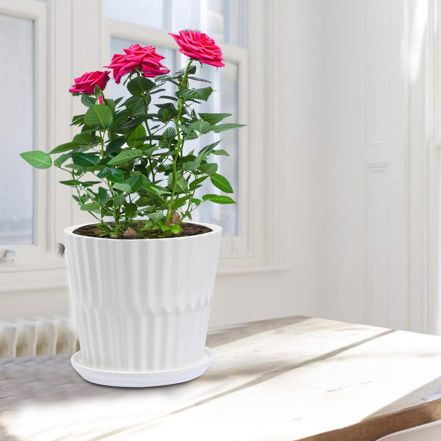 sietpoek Plant Pots - 6.7 Inch Cylinder Ceramic Planters with Connected Saucer, Pots for Succuelnt and Little Snake Plants, Set of 2, White
