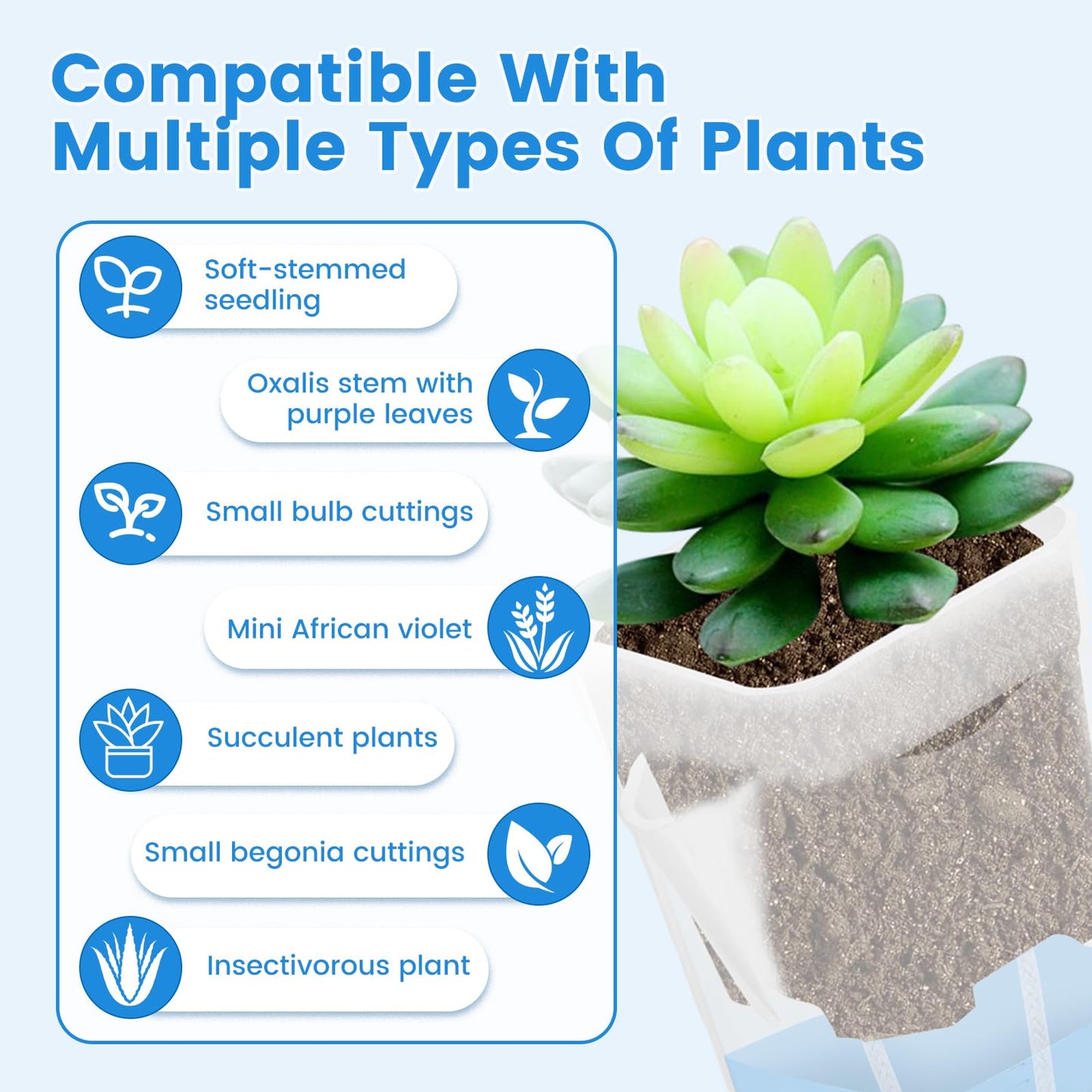 Fizocosisto 12Pcs 2.5Inch Self Watering Pots for Indoor Plant Mini Clear Plastic Planter for Hoya African Violets Alocasia