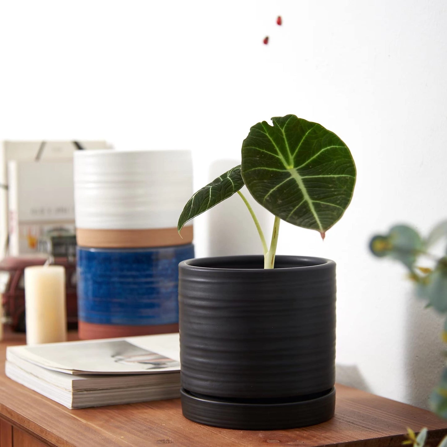 HERDUK 6 Inch Plant Pots, Ceramic Planter Pot with Drainage Hole & Saucer, Indoor/Outdoor Cylinder Round Planter Pot, Matte Black