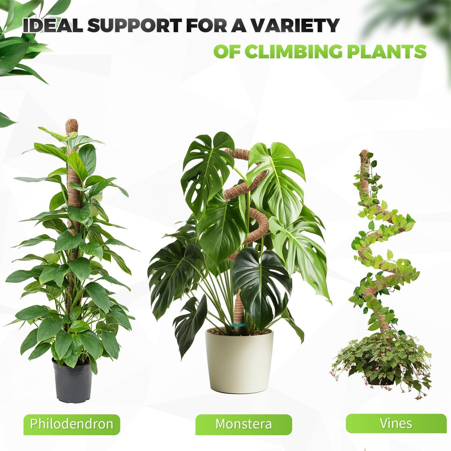 2 Pack Moss Pole Monstera Plant Support 63 Inch Bendable Monstera Support for Climbing Plants Extra Large Handmade Moss Poles Aluminum Plant Support Stakes Indoor Grow Upwards