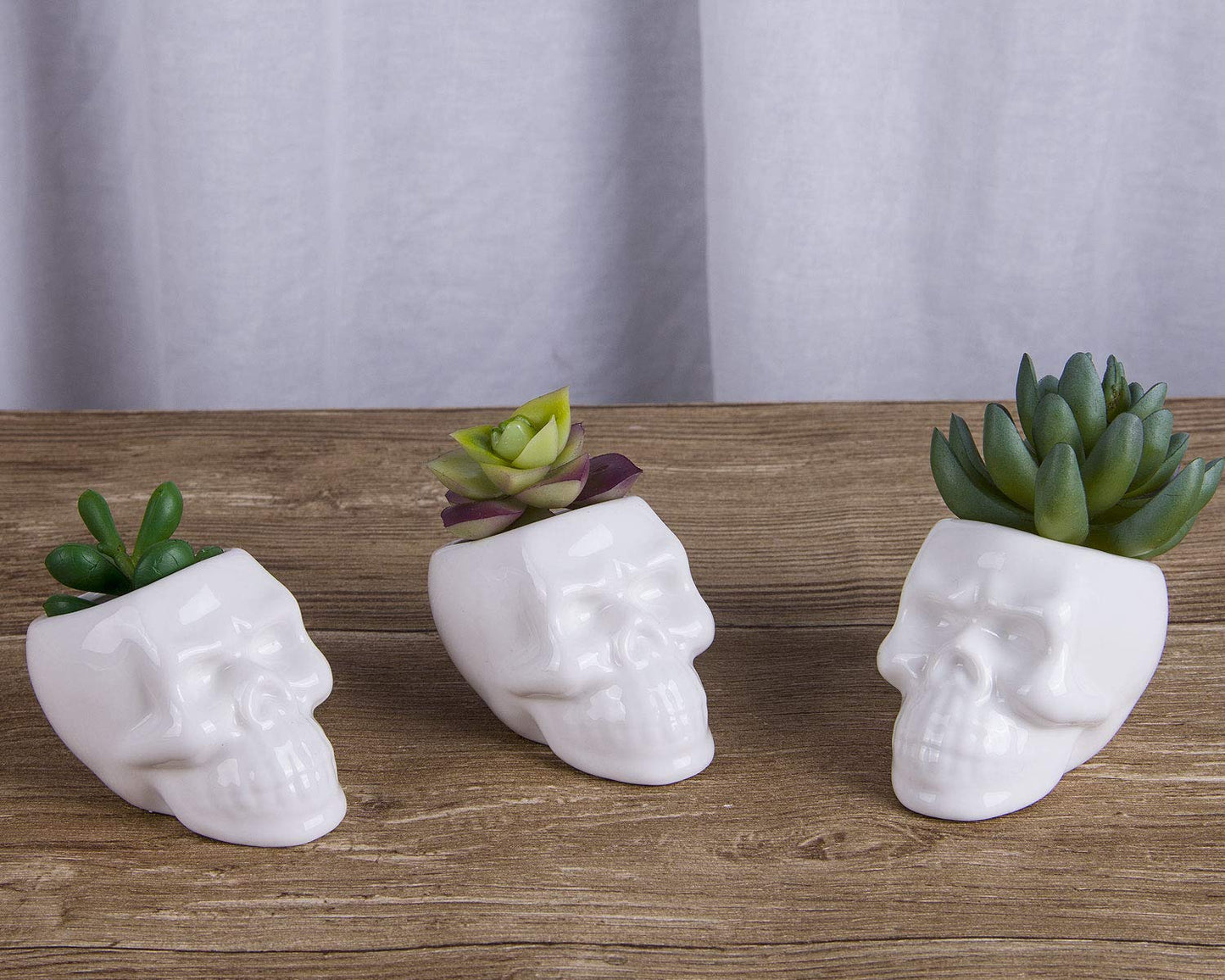 VanEnjoy Set of 3 Ceramic Skull Succulent Pots and Planters Creative Cactus Plant Pot Pen Pencil Holder, Home Office Bedroom Desk Decoration