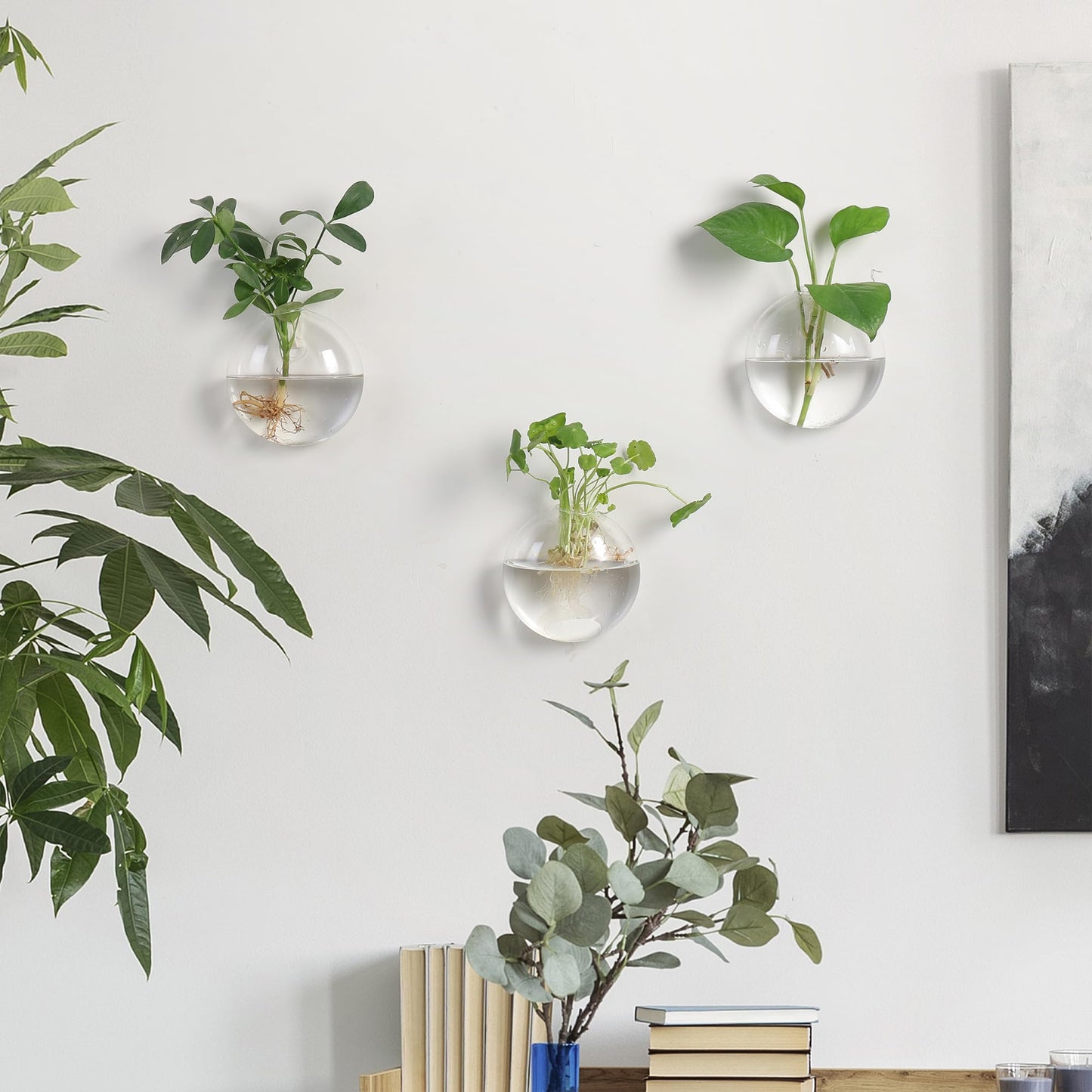 Wall Propagation Planters 6 Pack Glass Wall Planters for Indoor Plants, Wall Plant Holder Plant Propagation Wall Hanging, Glass Flower Vase Indoor Hydroponic Decor