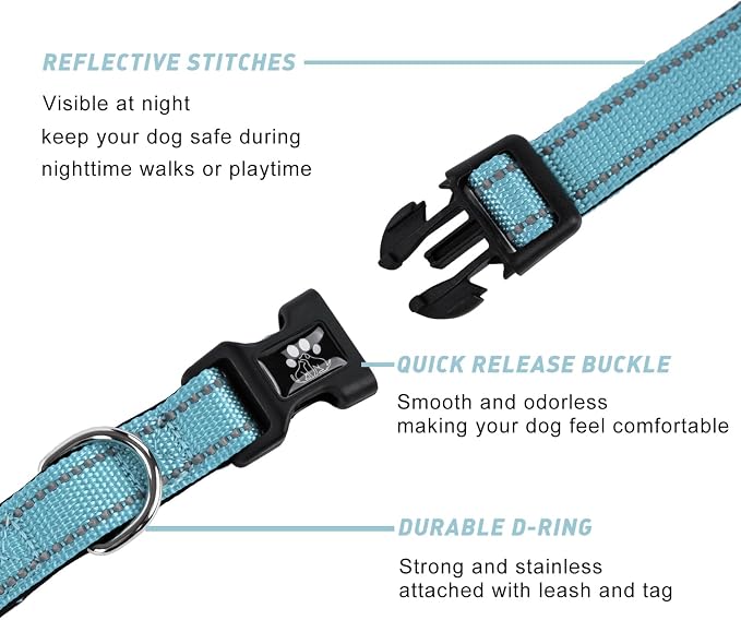 FURRYFECTION Reflective Dog Collar and Leash Set, Quick Release Buckle, Padded Neoprene, Adjustable Nylon for Small Medium Large Dogs (Large Collar+5FT Leash, Blue)