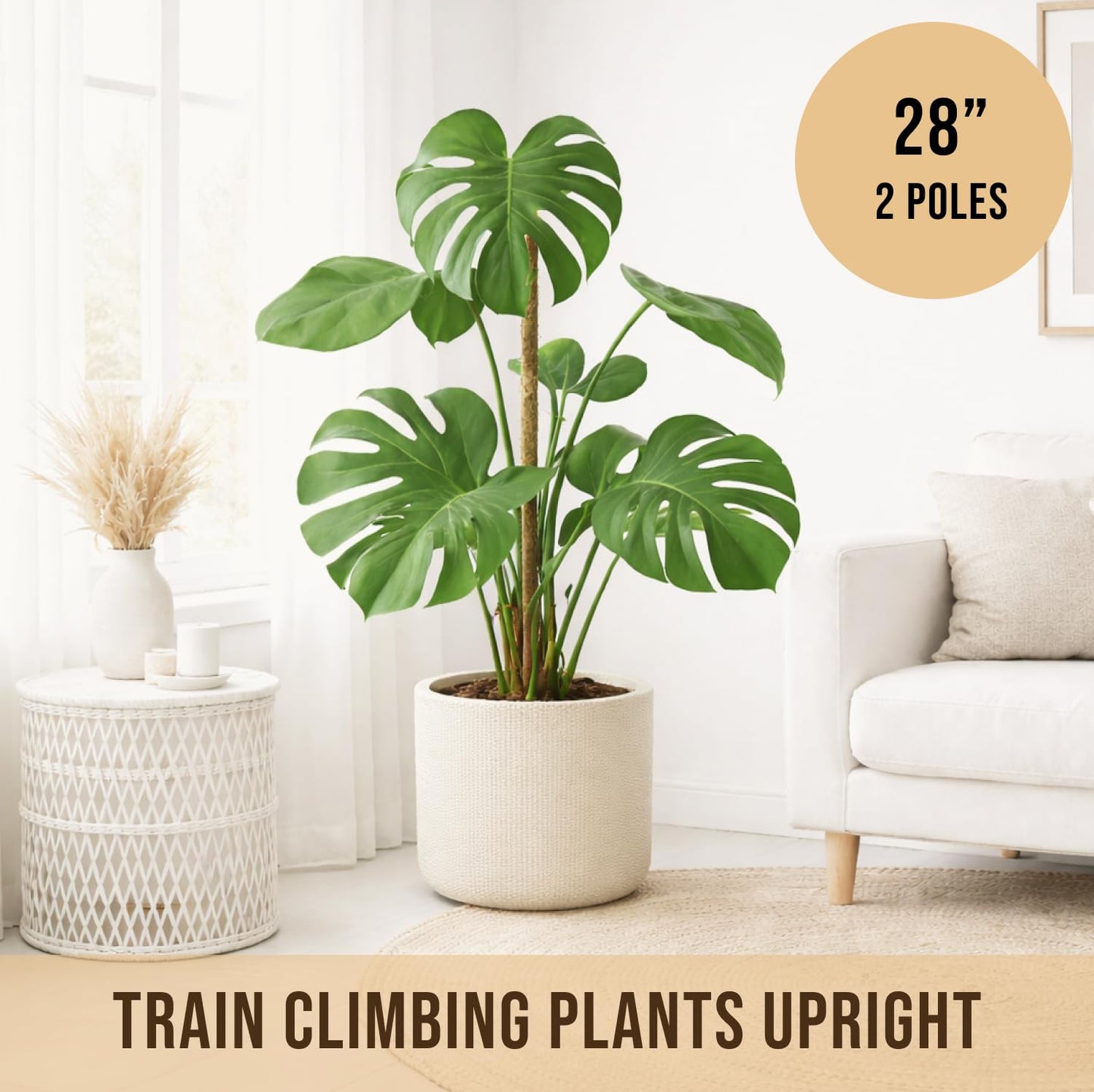 Craft911 Moss Pole Monstera Plant Support – 2 Pack 28” Bendable Moss Pole Monstera Plant Support, Plant Stakes for Indoor Plants, Tall Plant Sticks Support for Climbing Plants