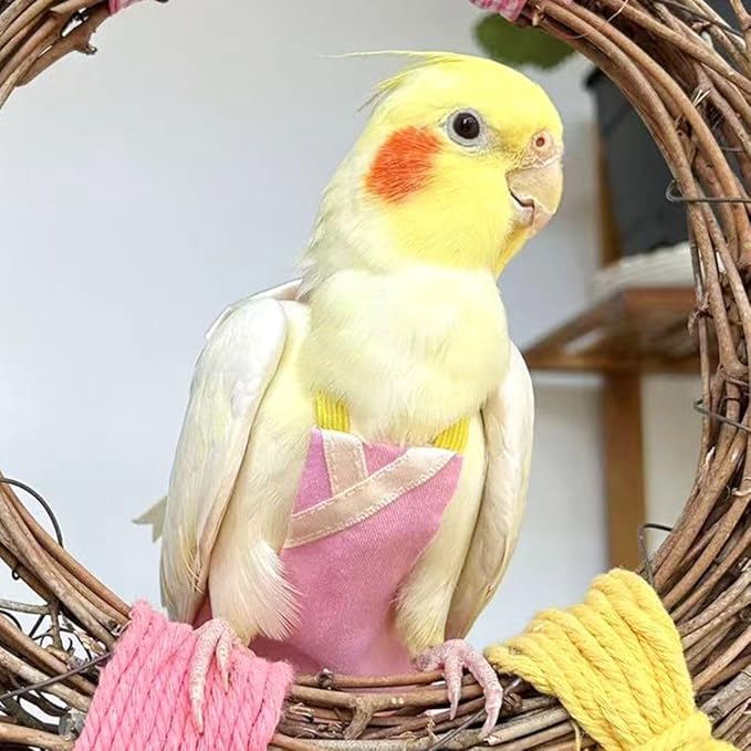 Bird Flight Suits Diapers, Parrot Flight Suits Diapers for Quaker Parakeets Cockatiels Conures Macaw African Grey, Bird Diaper, Parrot Clothes (Yellow,Macaw)