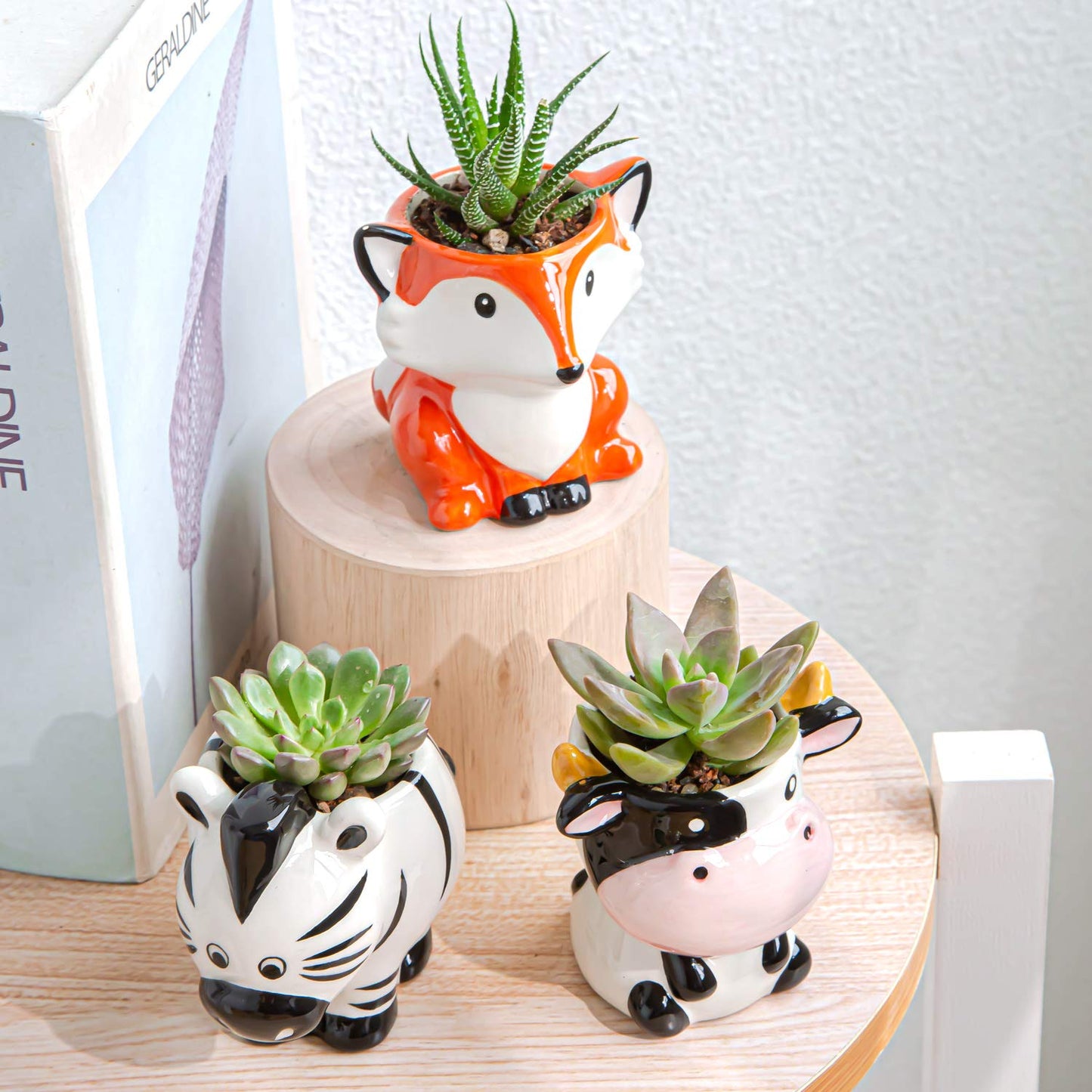 YINUOWEI Cute Succulent Planter, Succulent Pots with Drainage Hole Flower Plant Pot Cartoon Ceramic Tiny Pot for Indoor Mini Flower Planters Cactus Container Set of 6