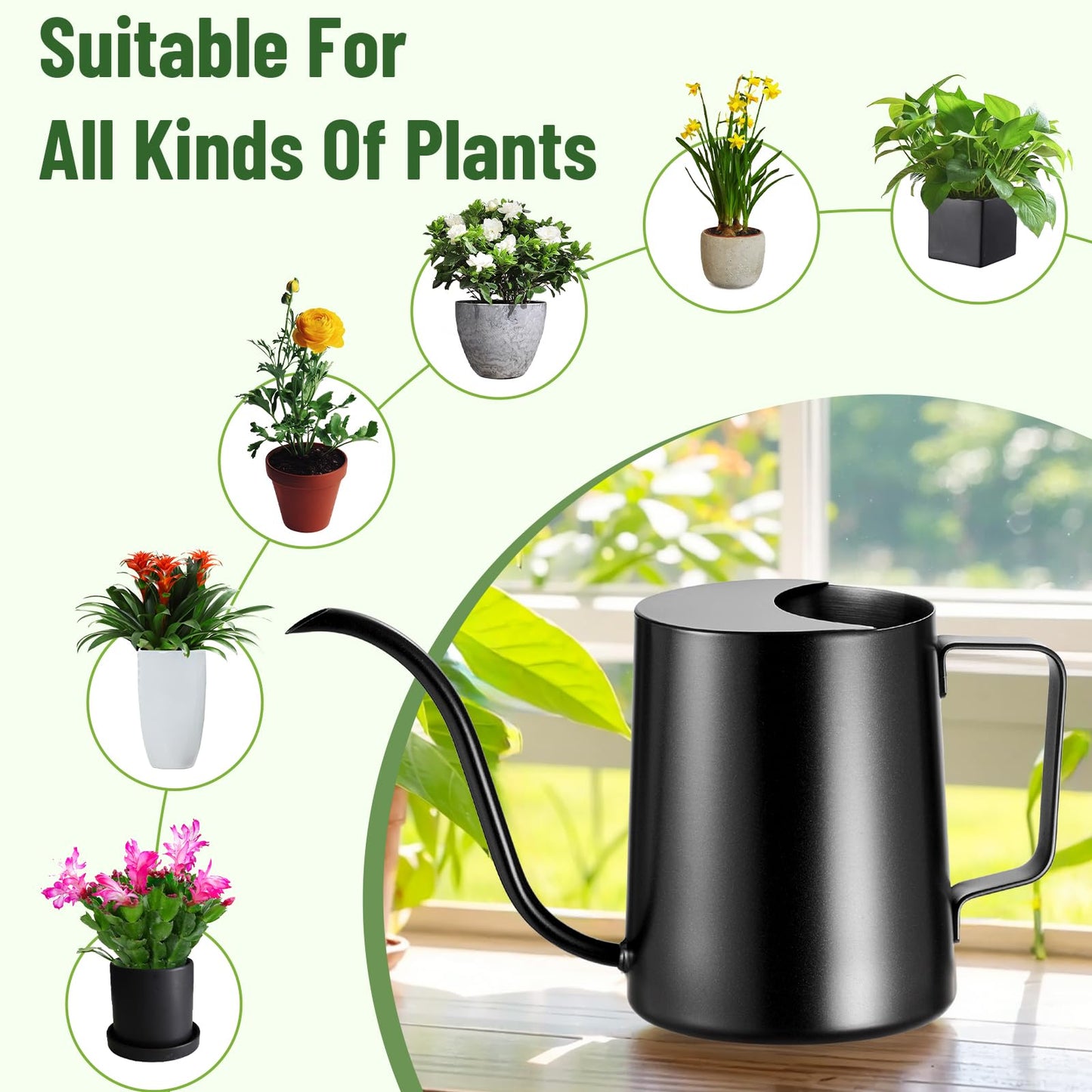 Lizhluzh 20oz/600ml Watering Can Indoor Plants, Stainless Steel Plant Watering Can with Long Spout (Black)