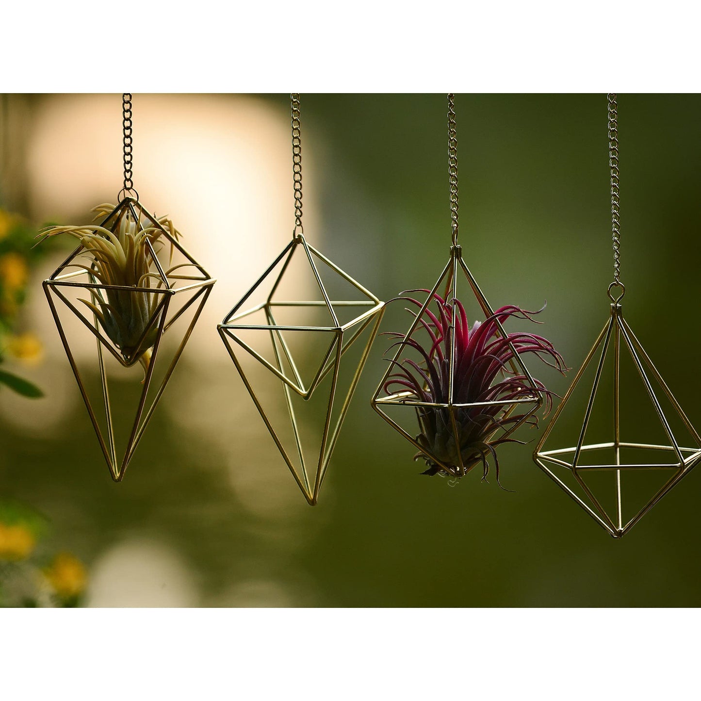 4Pcs Hanging Metal Air Plant Holder with Chain Mini 2 Style Tillandsia Geomitric Airplants Hanger Air Fern Cage Decor for Home and Office